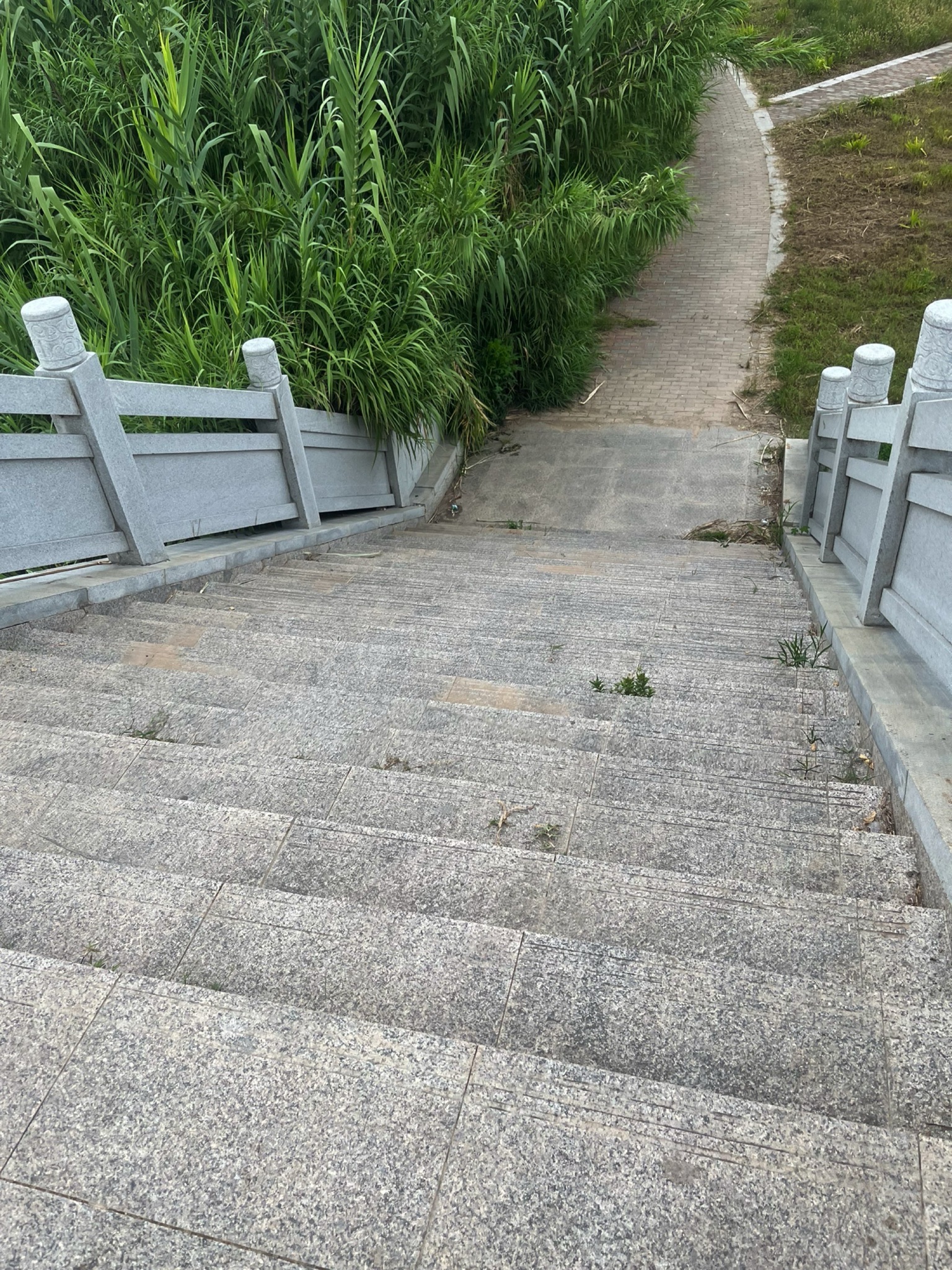亳州望月潭公园旅行图片 1