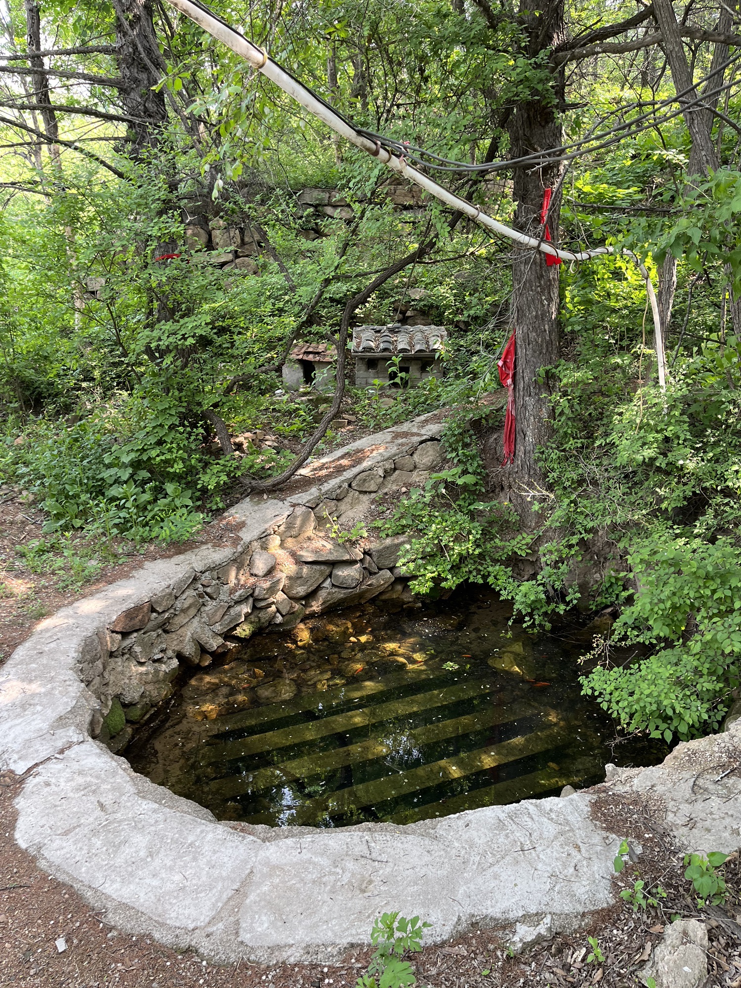 龙泉寺