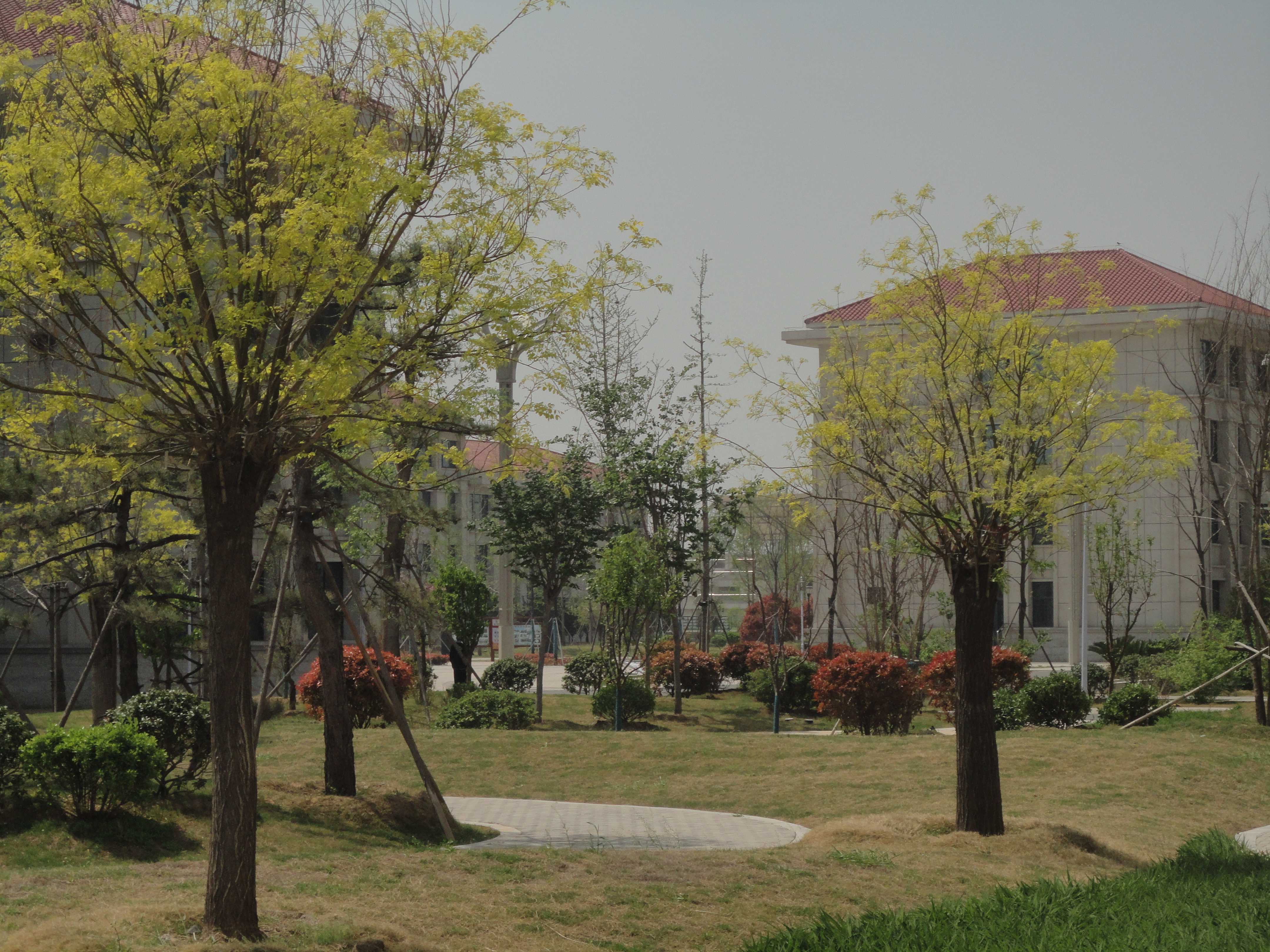 安阳市新一中学