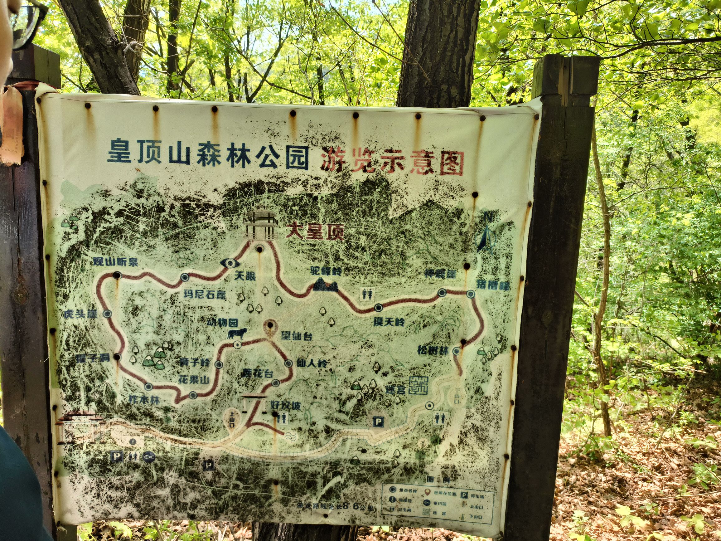 皇顶山森林公园旅行图片 2