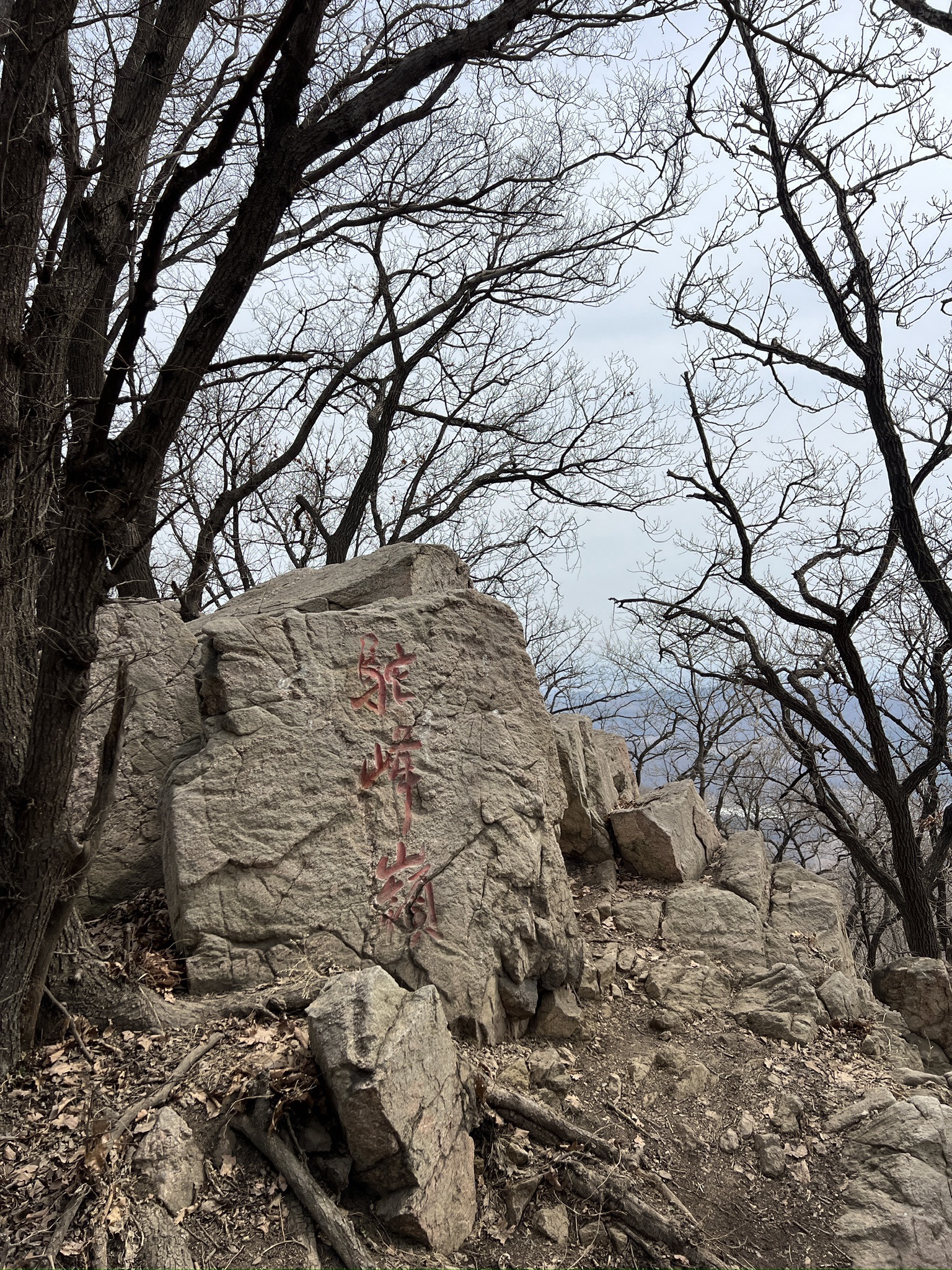 皇顶山森林公园旅行图片 1