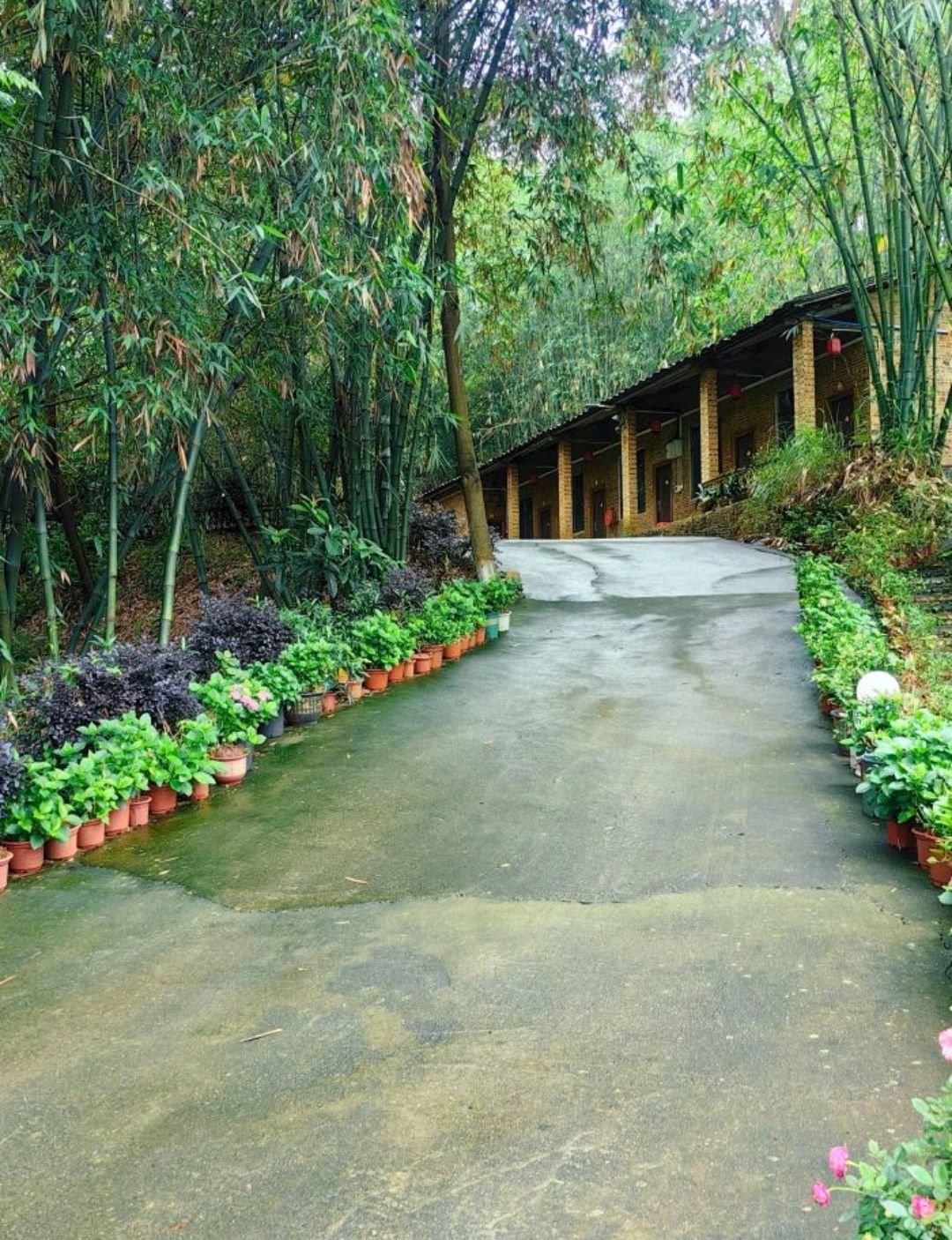 秘密鸡地山庄