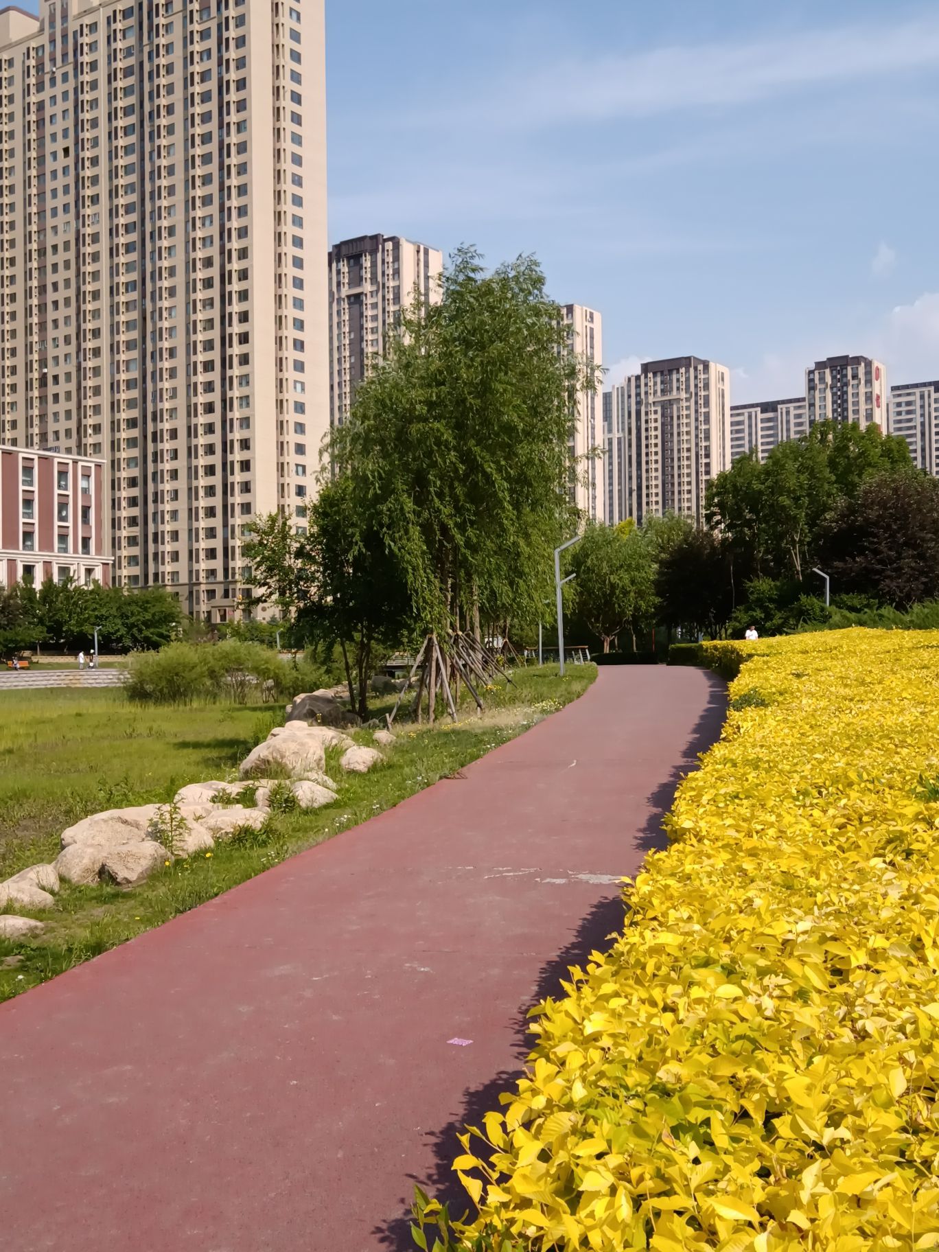 松溪公园旅行图片 3