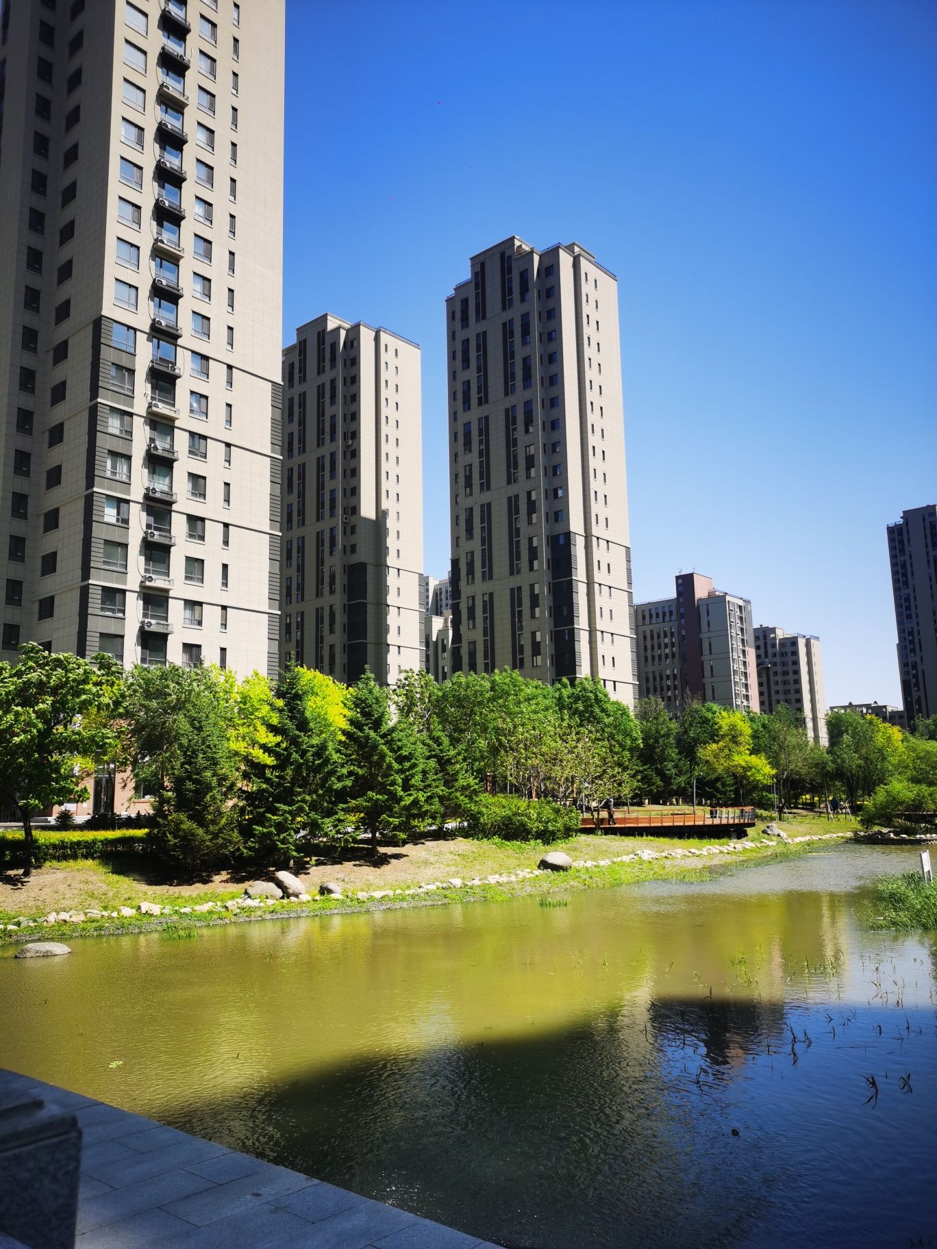 松溪公园旅行图片 2