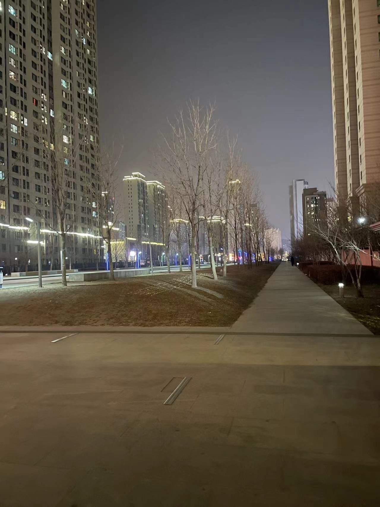 松溪公园旅行图片 3
