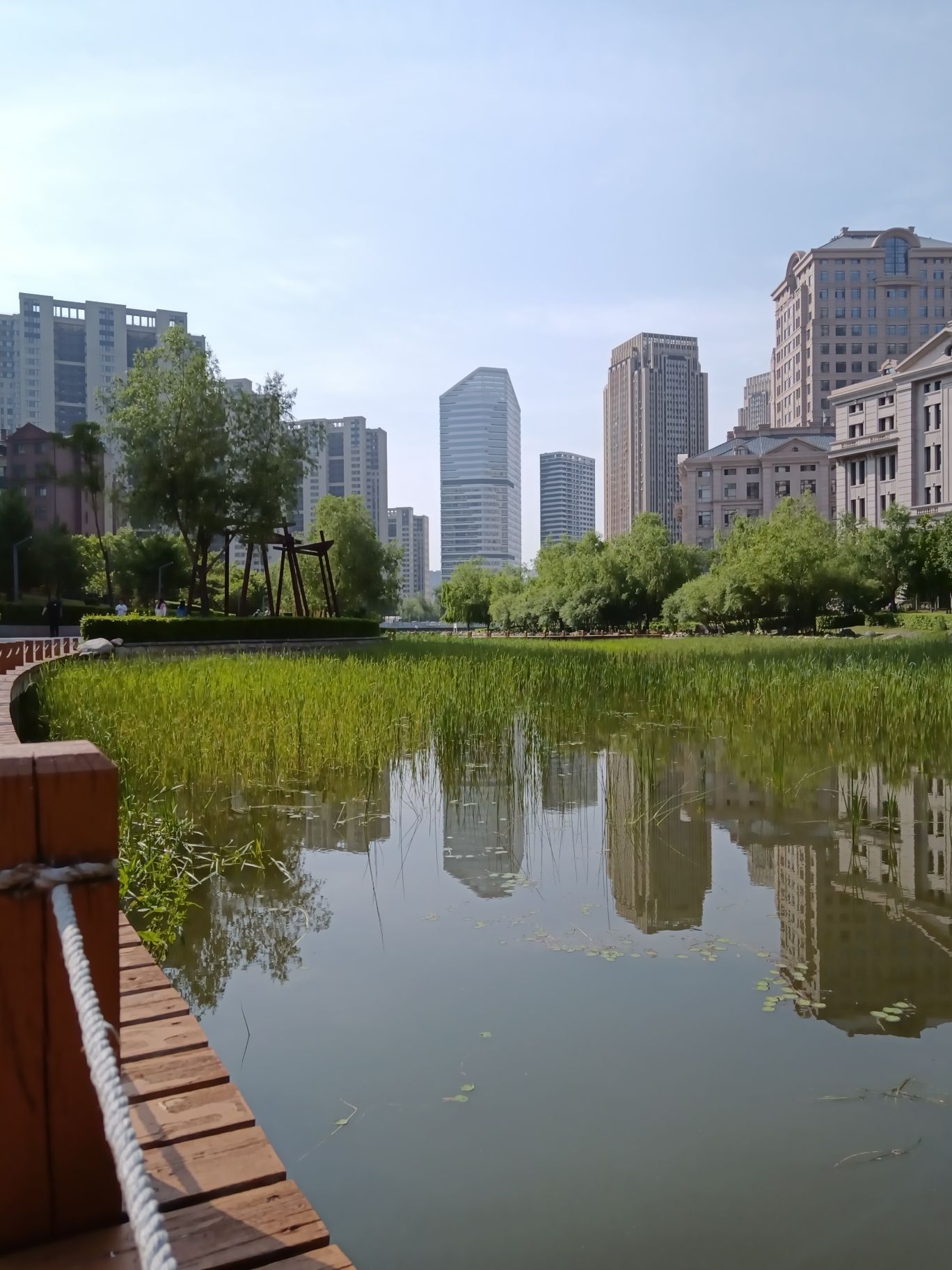 松溪公园旅行图片 2