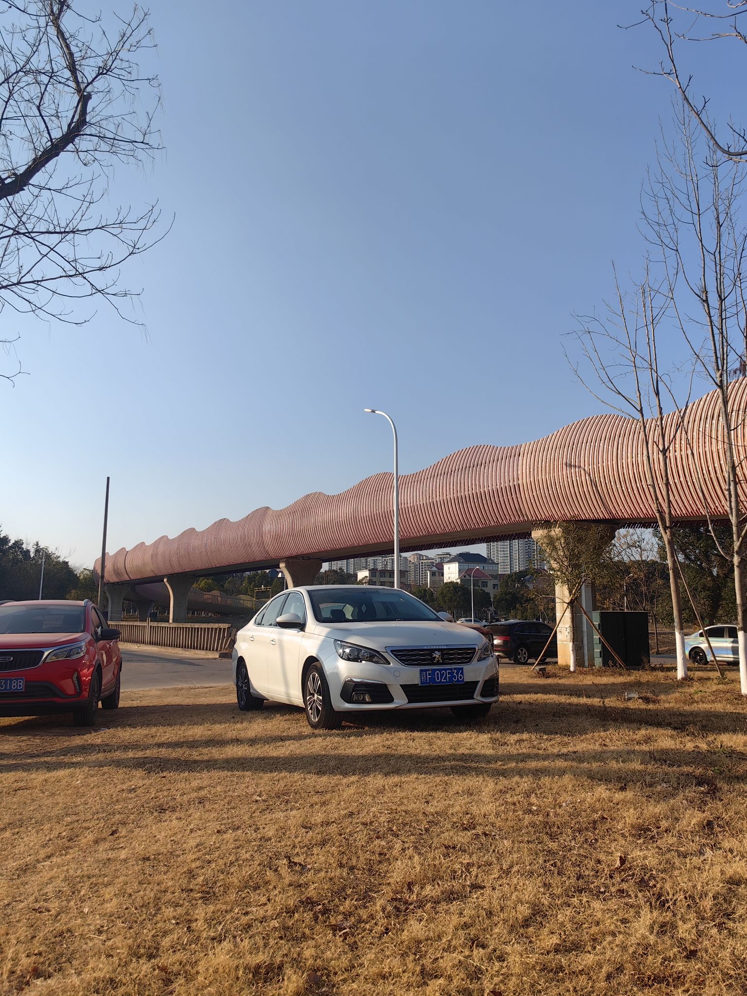 汝水郊野公园旅行图片 2