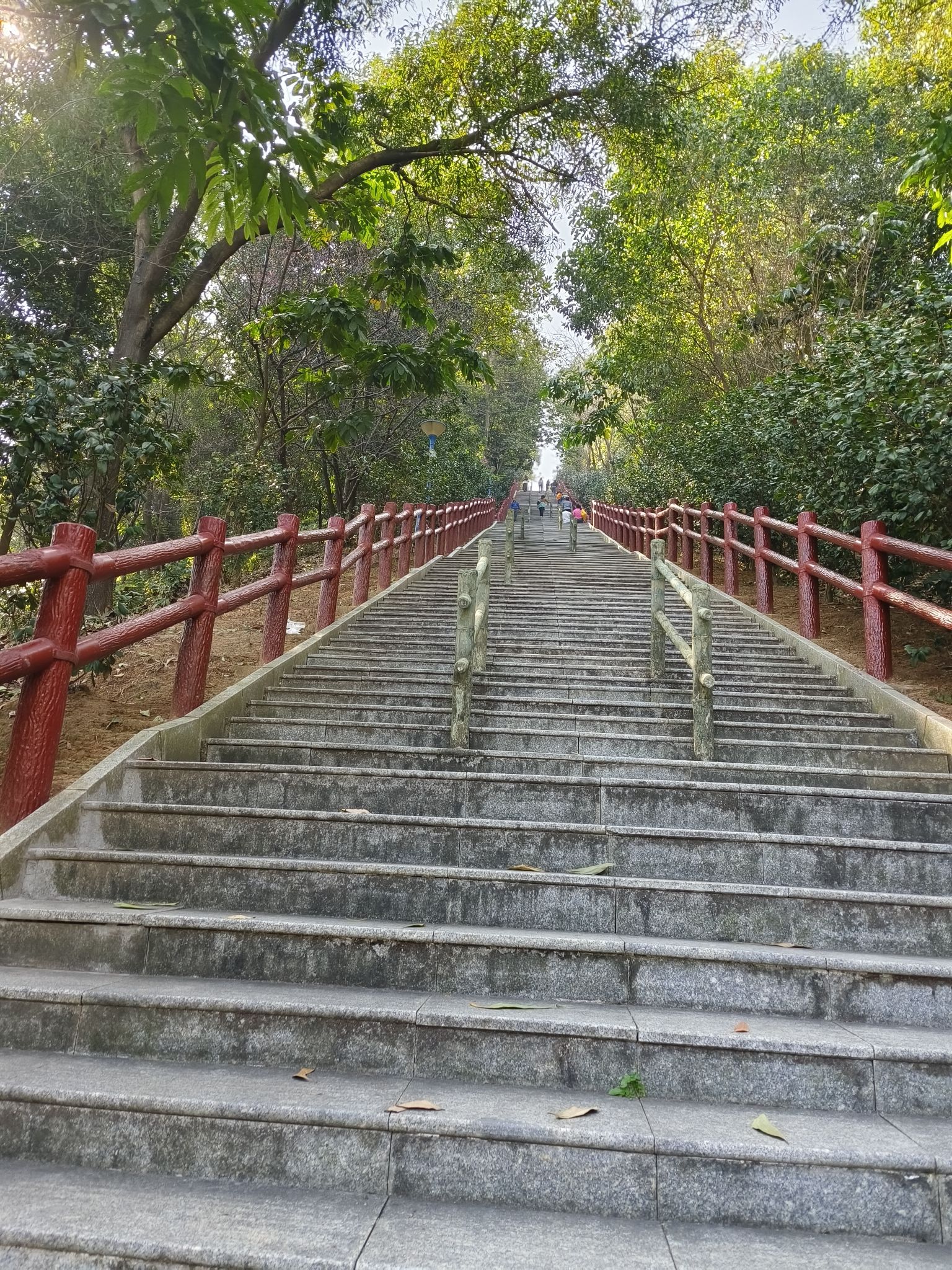飞鹅岭森林公园旅行图片 1