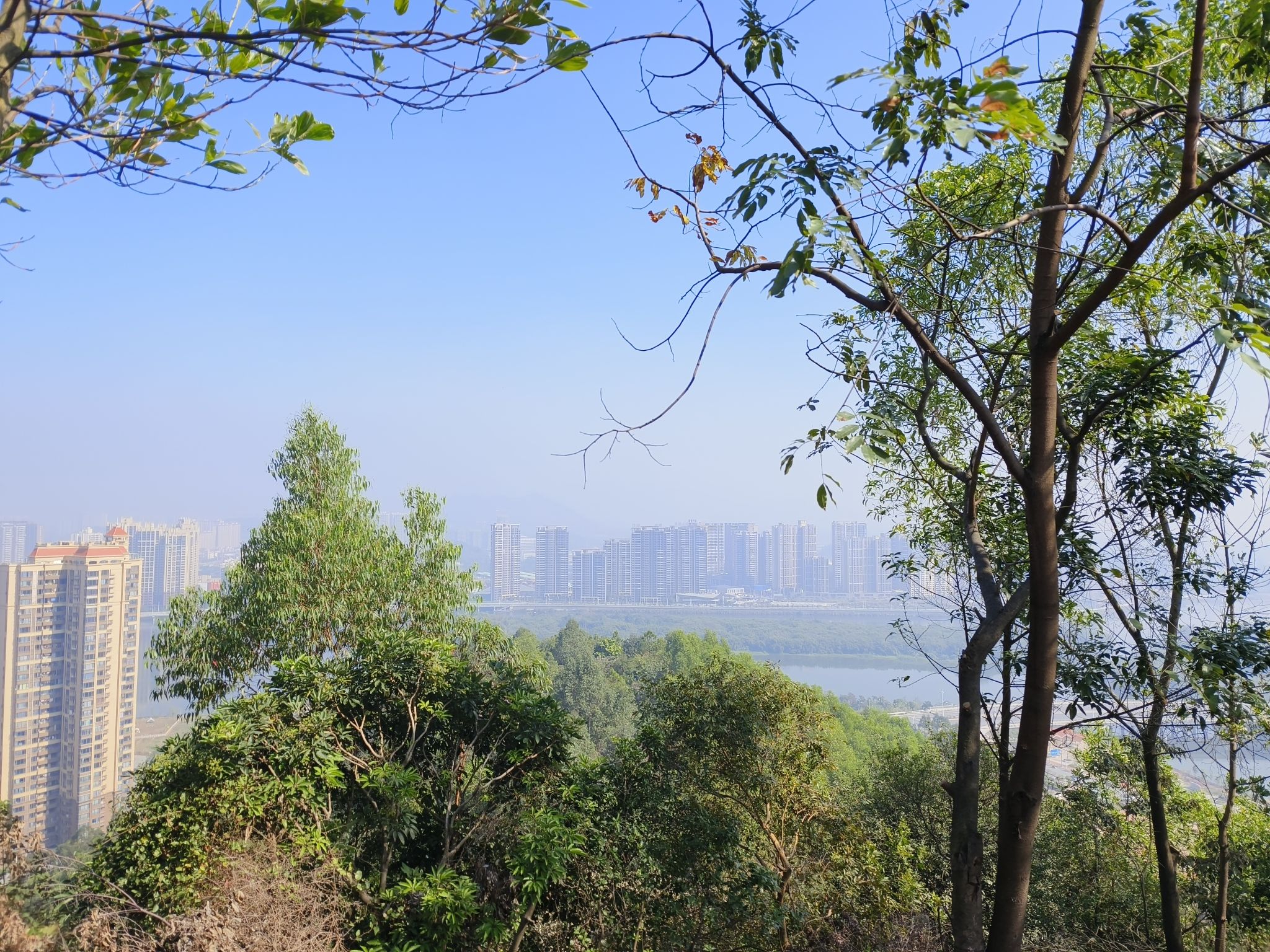 飞鹅岭森林公园旅行图片 2