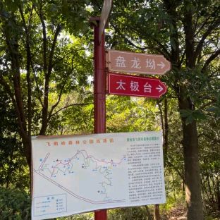 飞鹅岭森林公园旅行图片 1