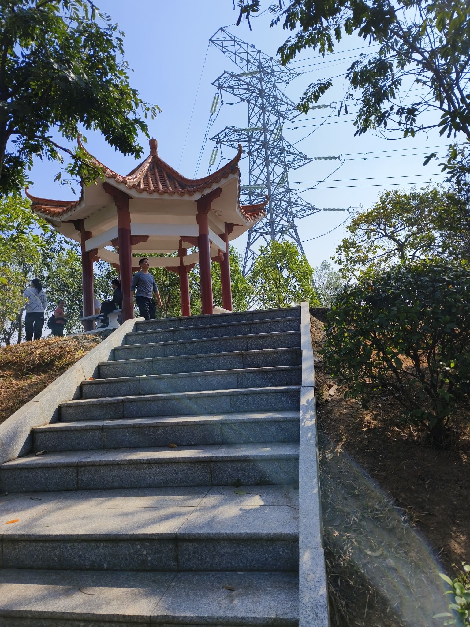 飞鹅岭森林公园旅行图片 3