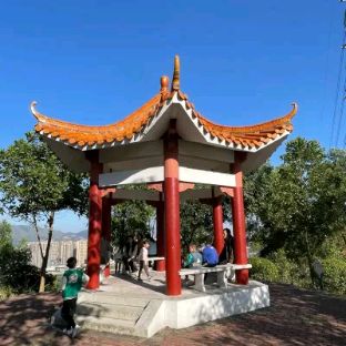 飞鹅岭森林公园旅行图片 3