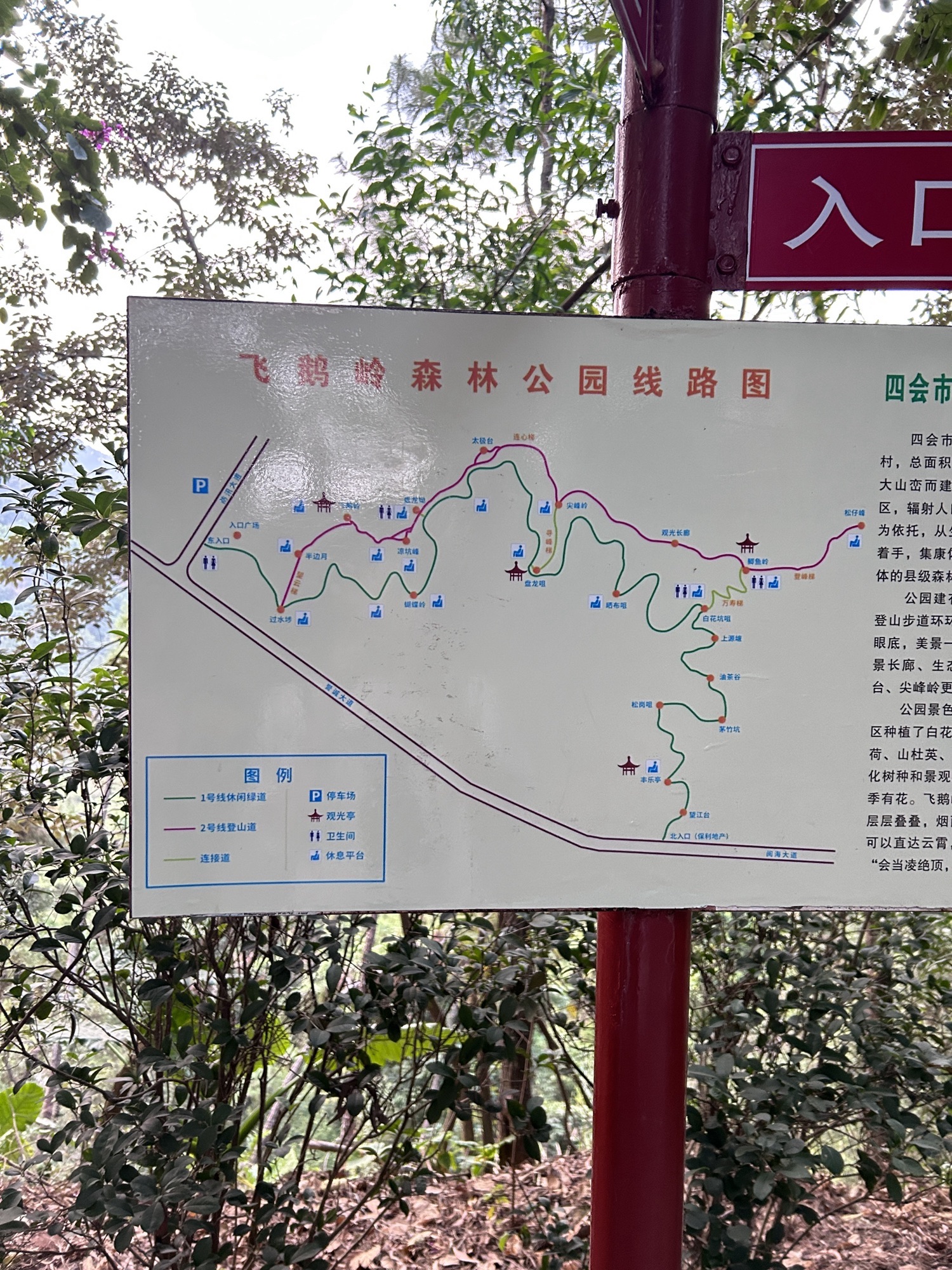 飞鹅岭森林公园旅行图片 3