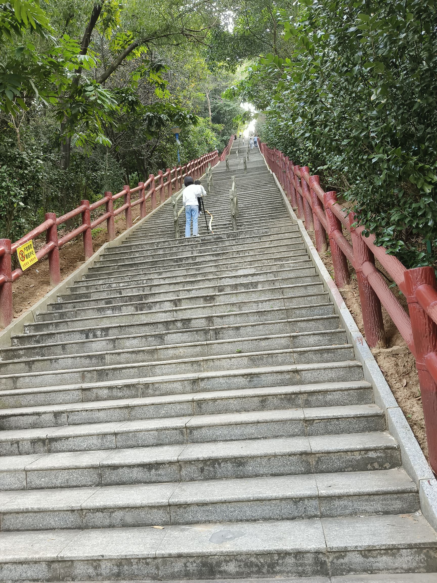 飞鹅岭森林公园旅行图片 2