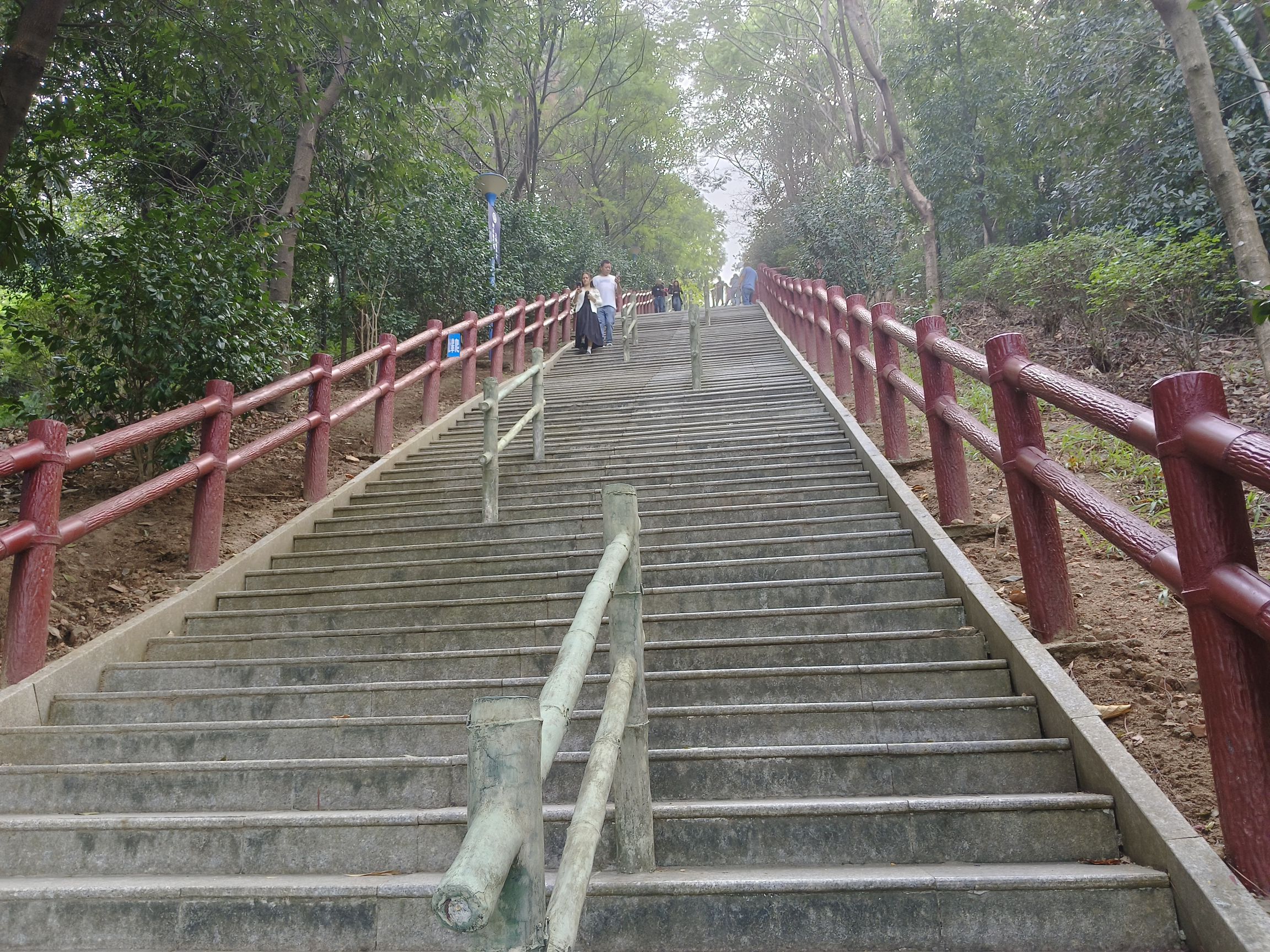 飞鹅岭森林公园旅行图片 1