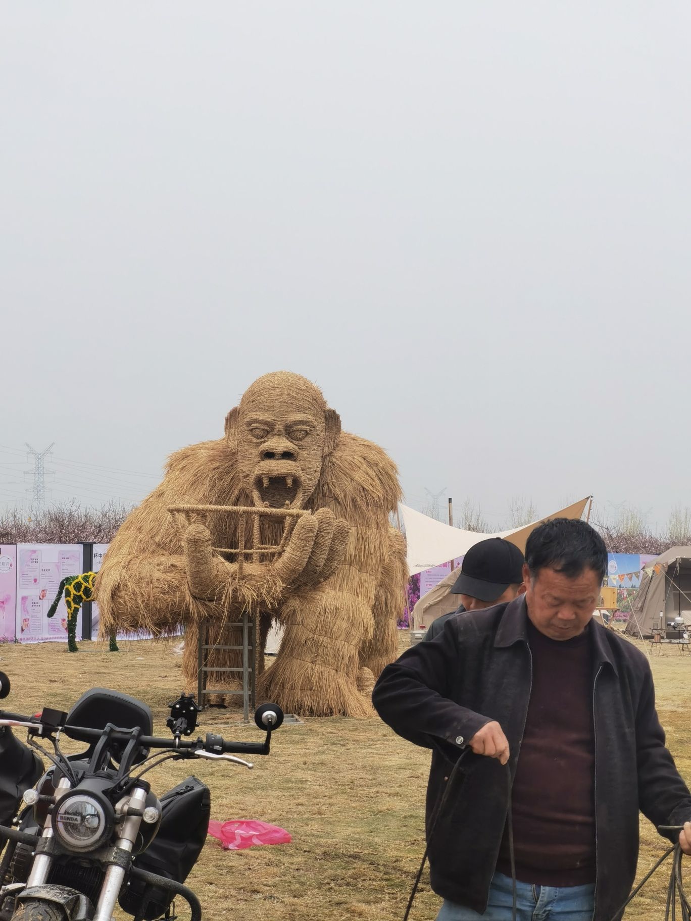 黄桥桃花园旅行图片 2