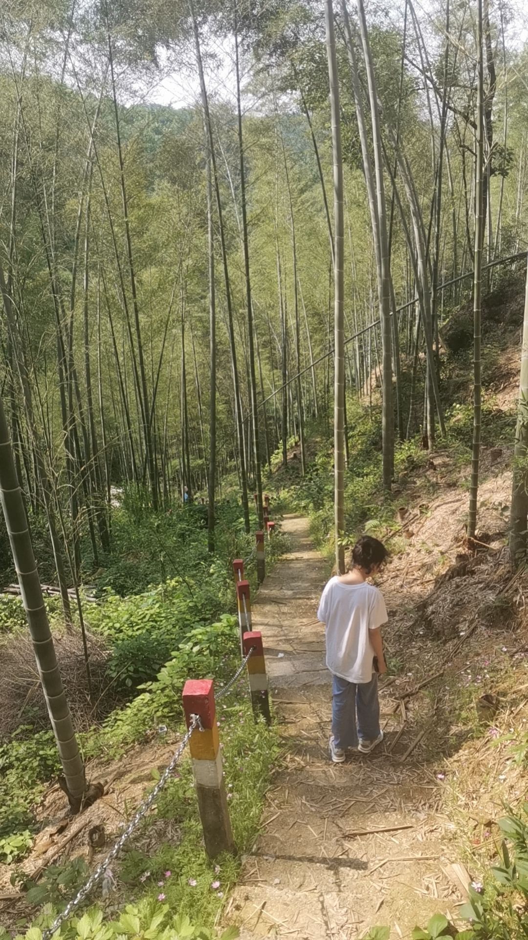导子镇和平村余升潭旅行图片 2