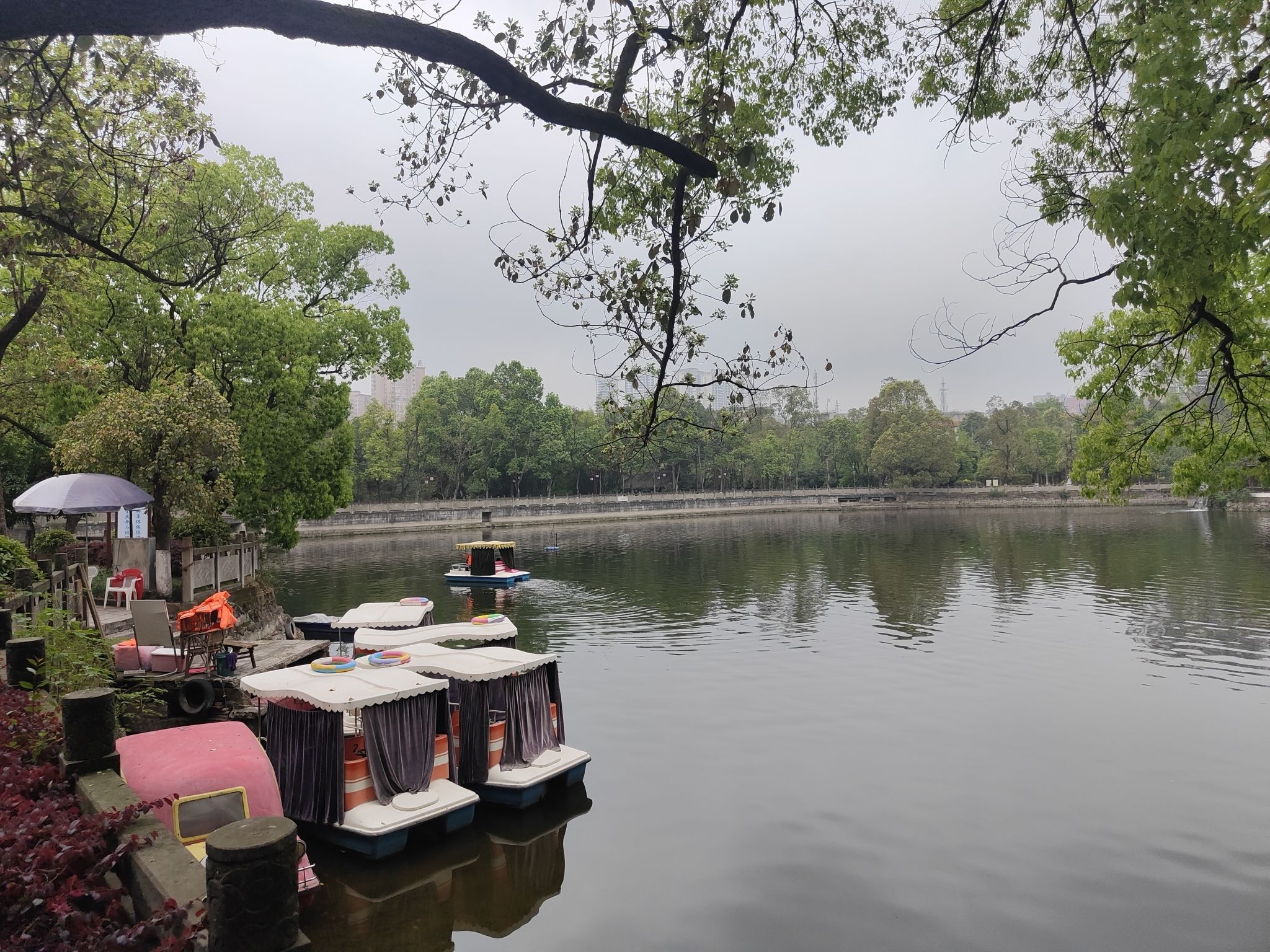 流杯池公园-江北公园旅行图片 1
