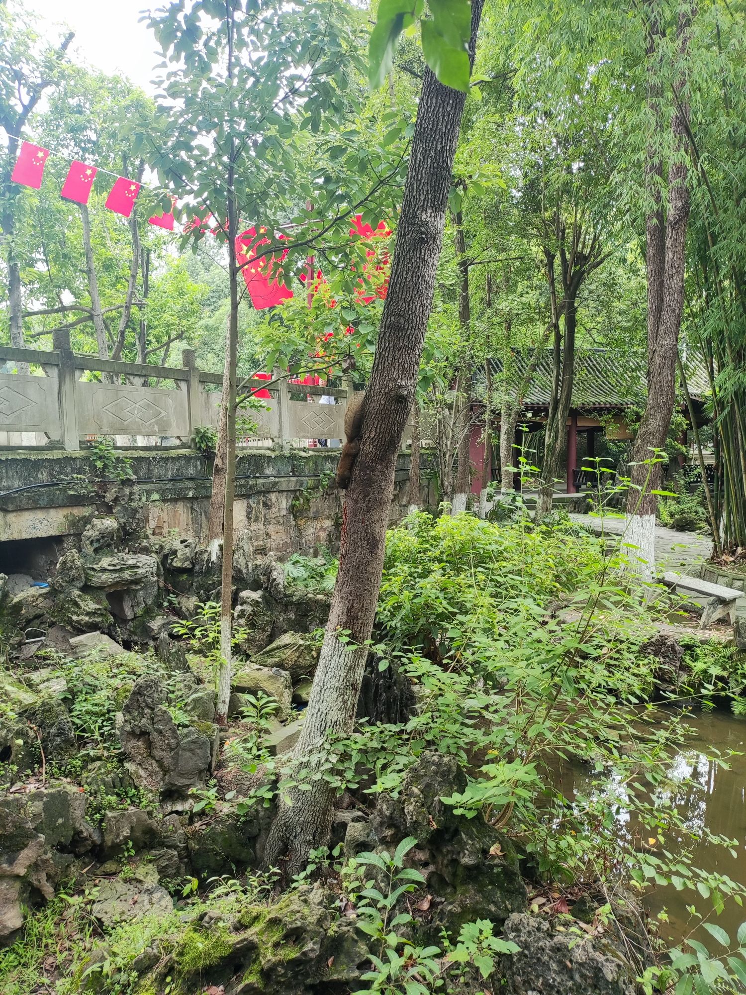 流杯池公园-江北公园旅行图片 1
