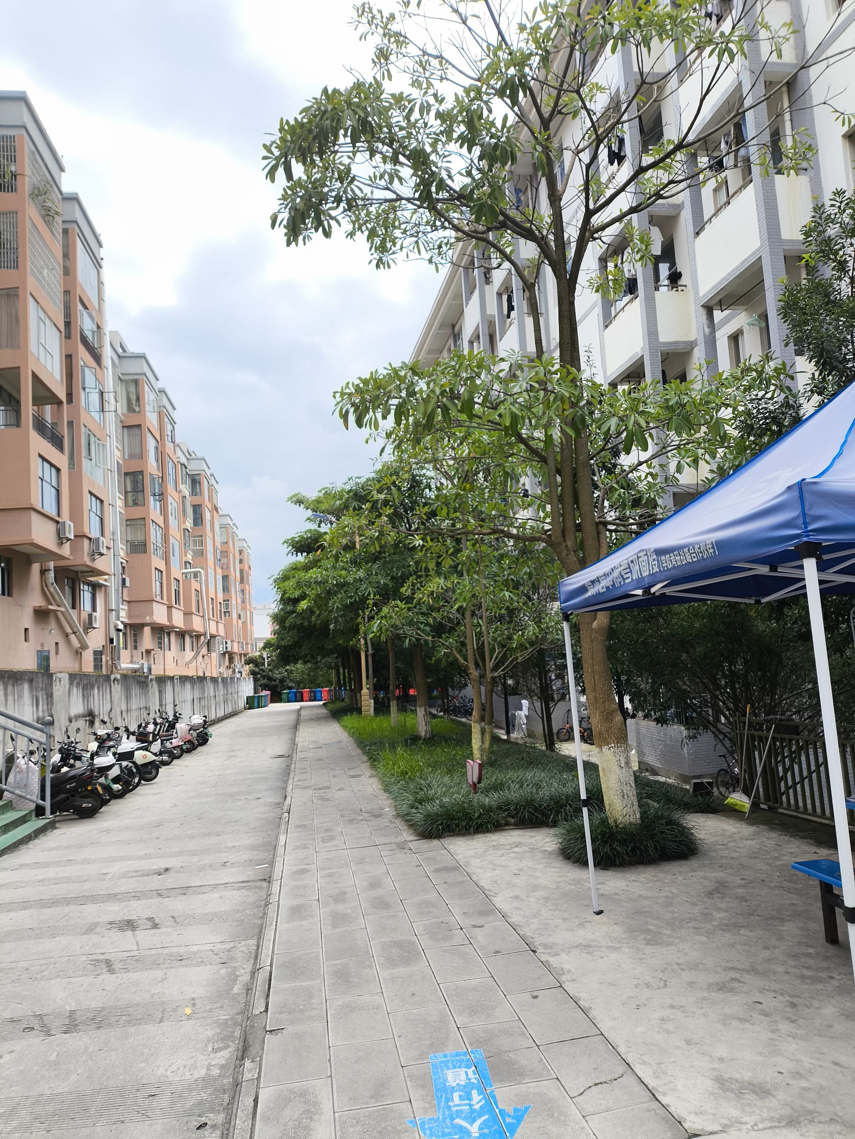 文山学院新校区