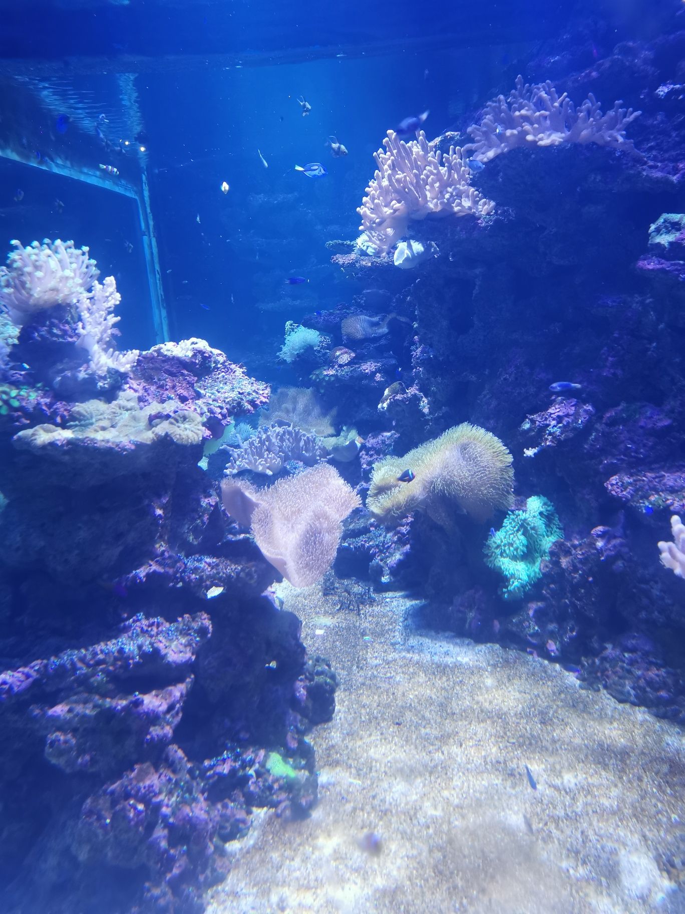 周口海洋馆旅行图片 3