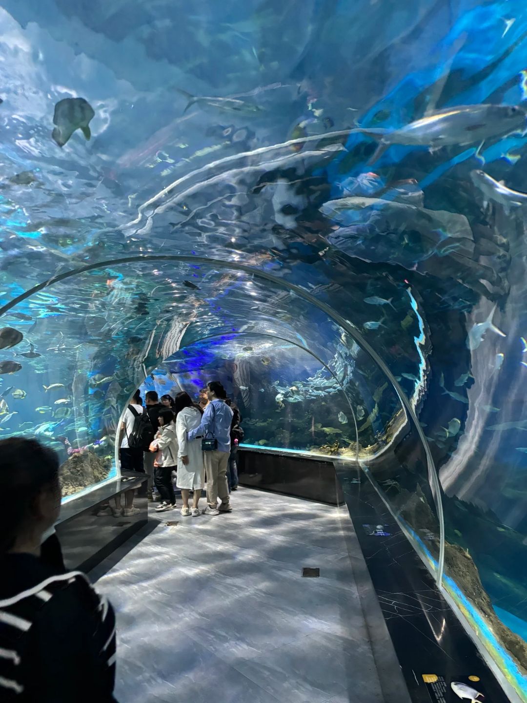 周口海洋馆旅行图片 3