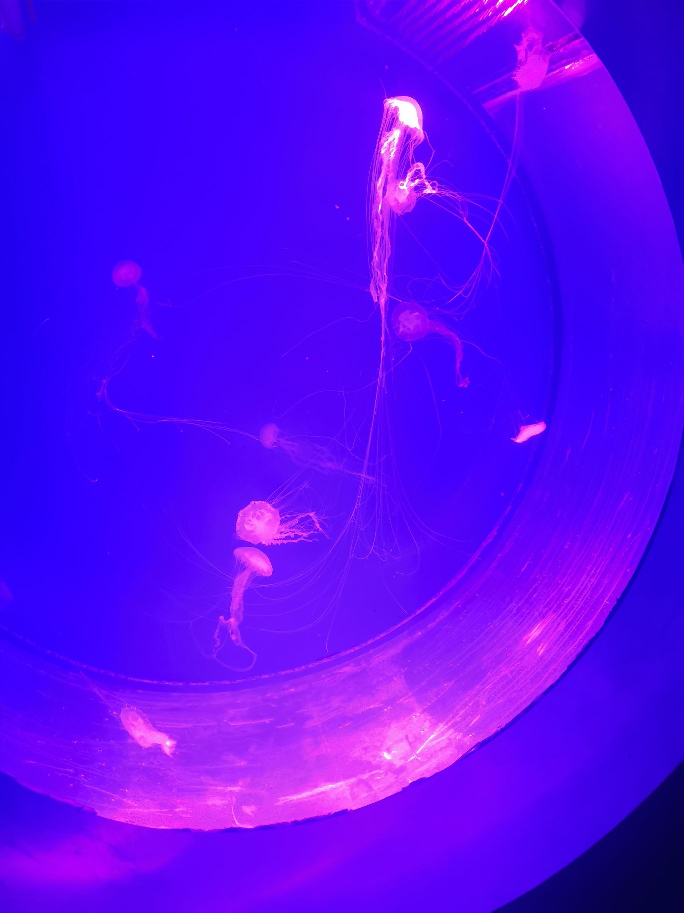 周口海洋馆旅行图片 2