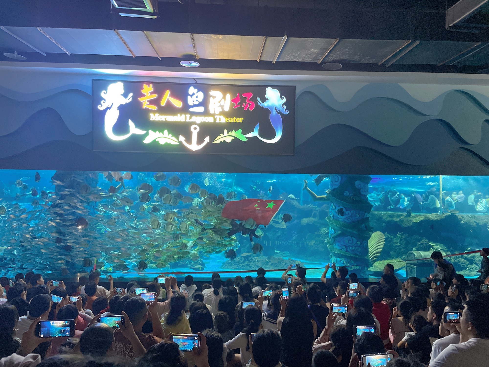 周口海洋馆旅行图片 3