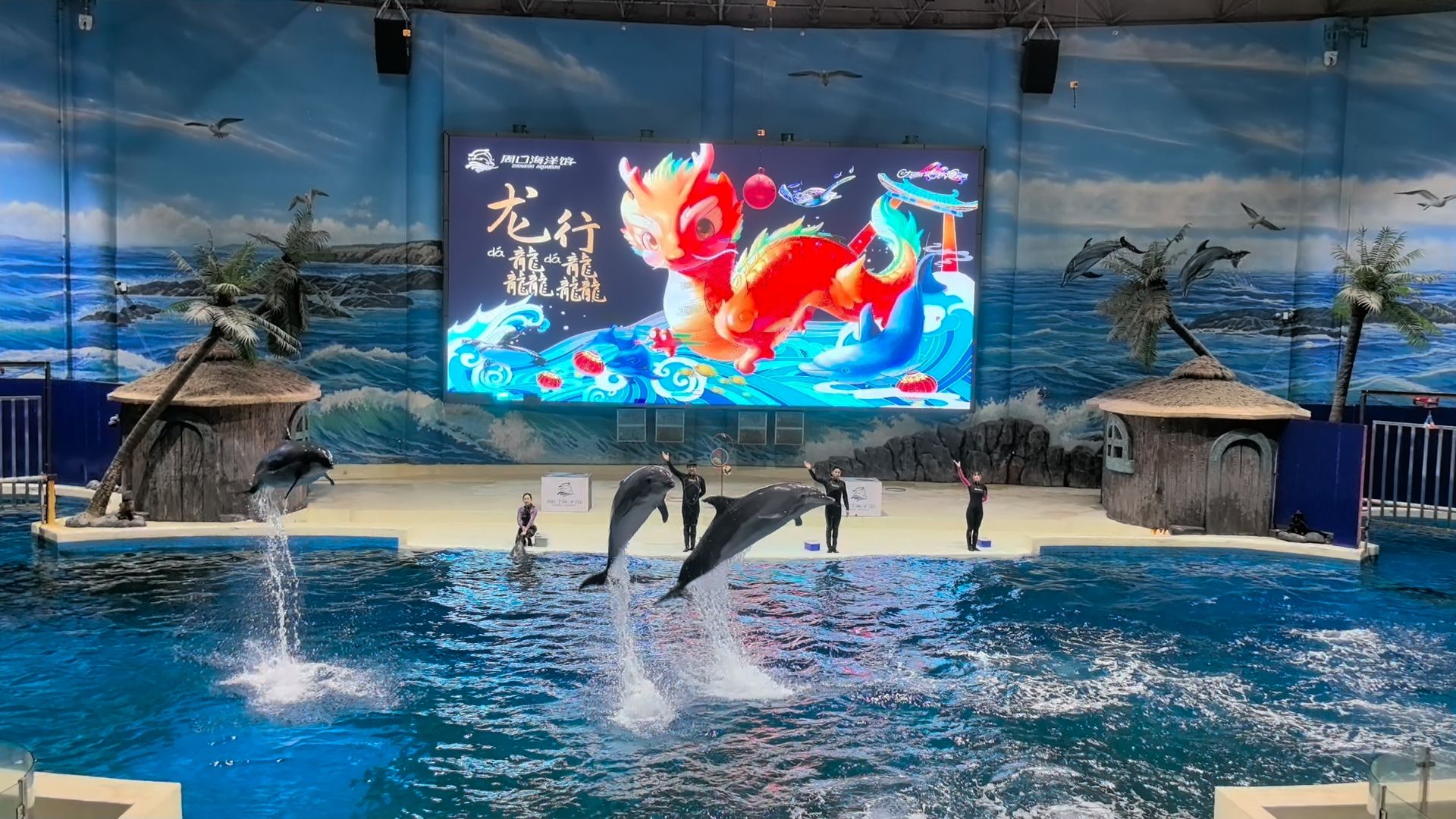 周口海洋馆旅行图片 3