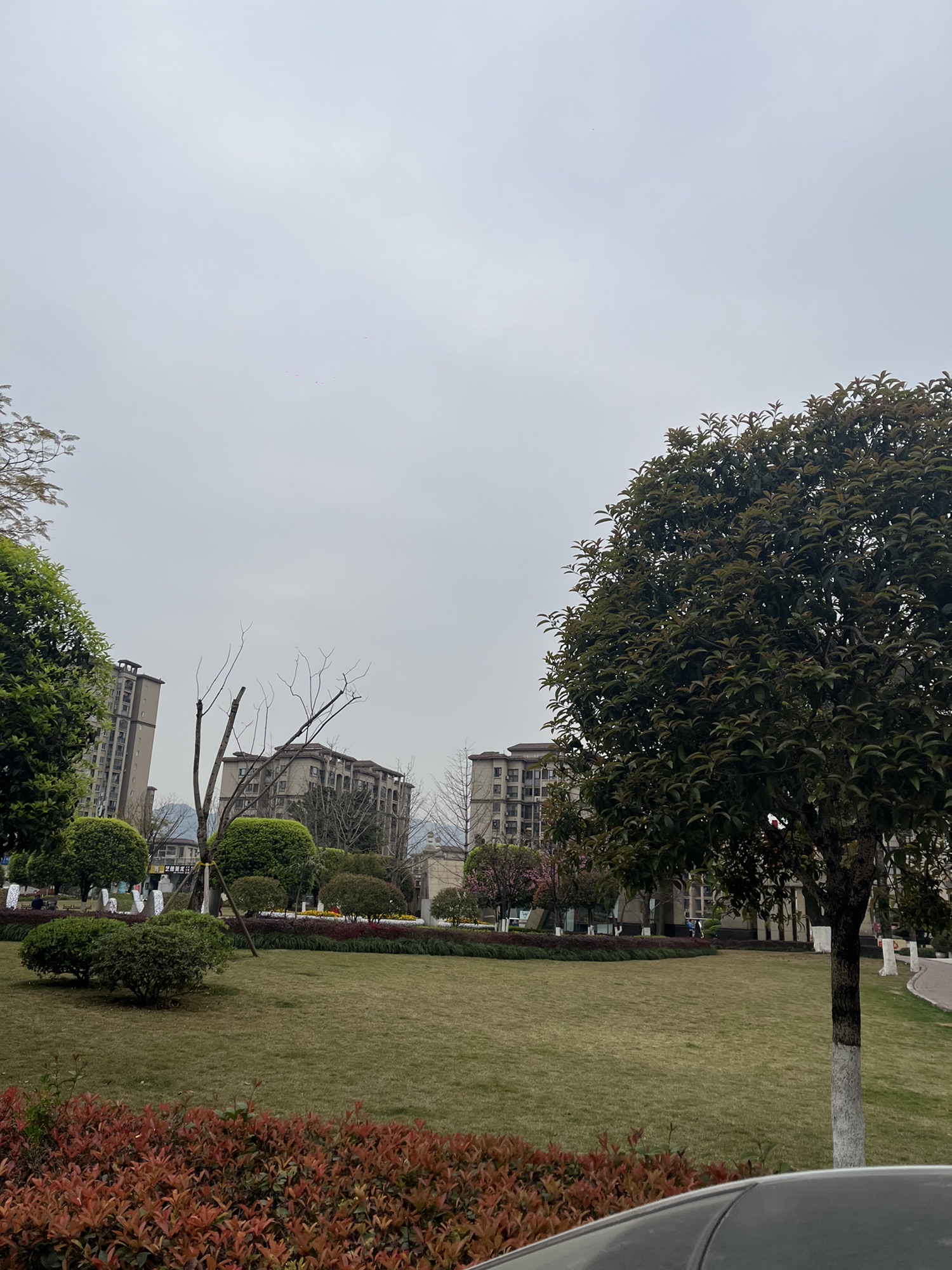 华岩志愿服务主题公园旅行图片 2