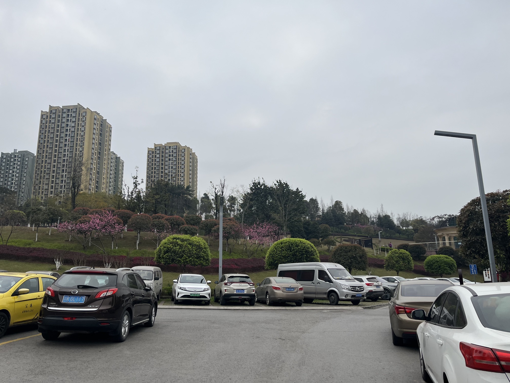 华岩志愿服务主题公园旅行图片 1