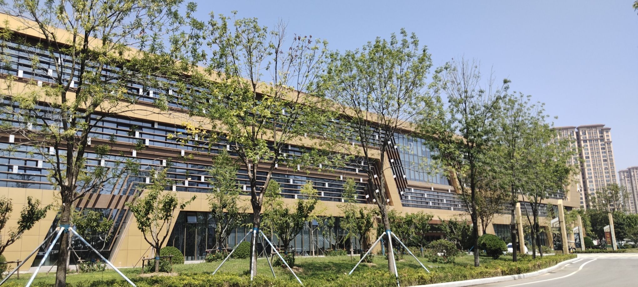 青岛影视基地旅行图片 2