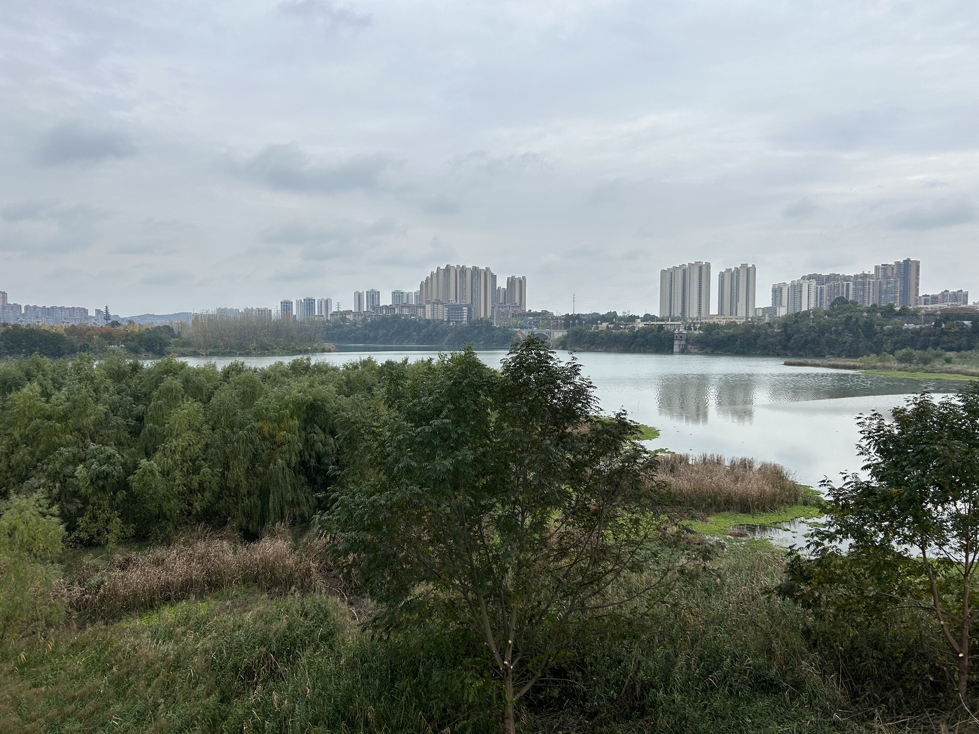 苌弘广场旅行图片 2