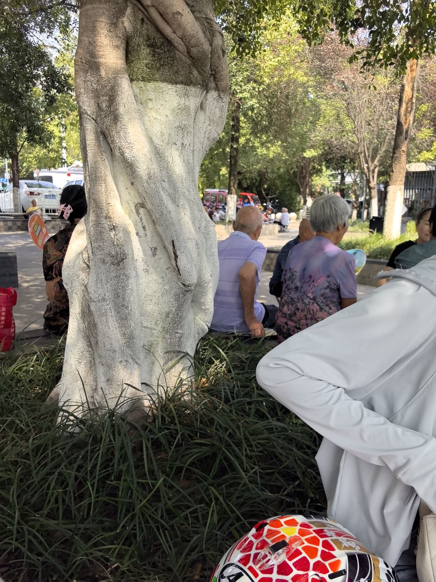 苌弘广场旅行图片 2
