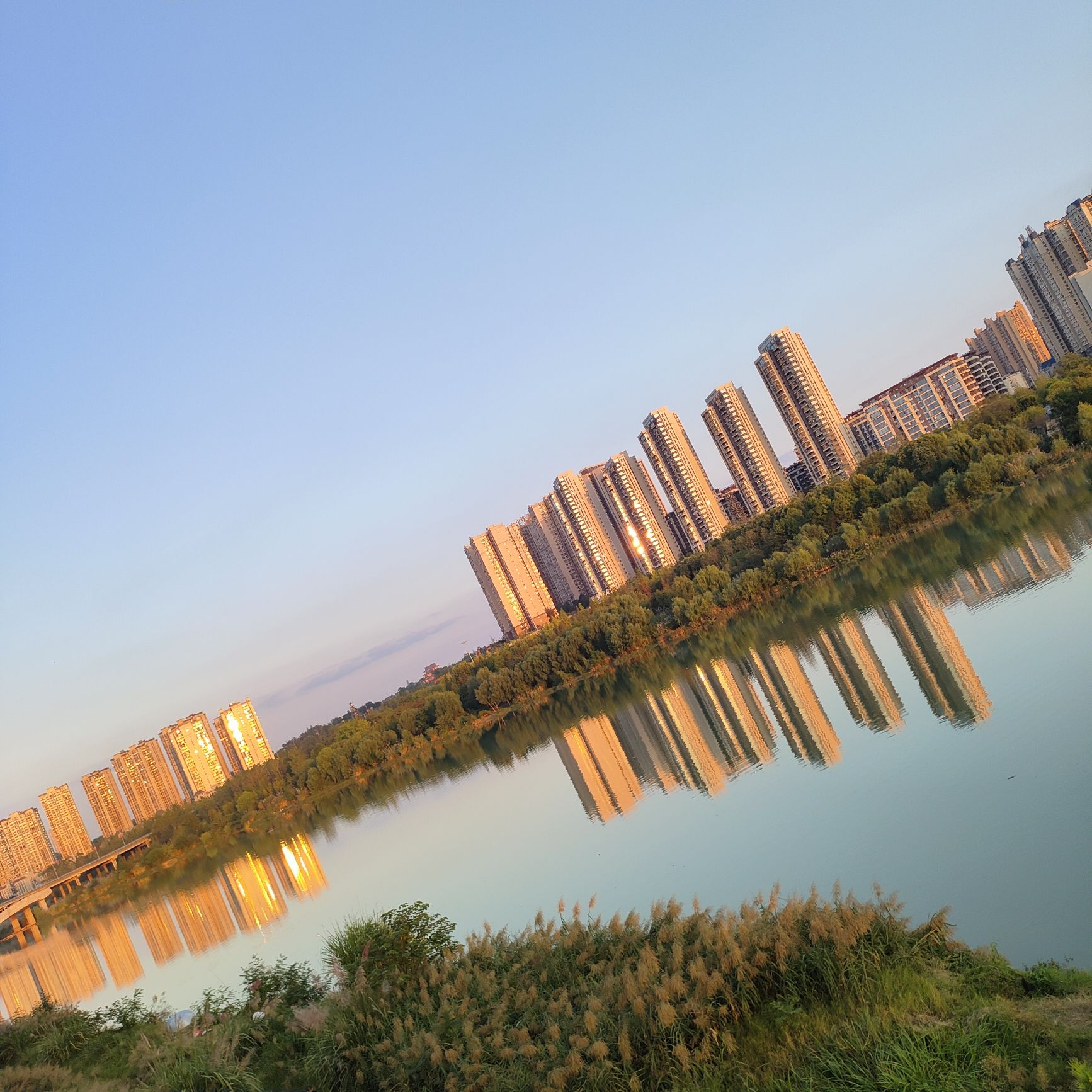 苌弘广场旅行图片 3