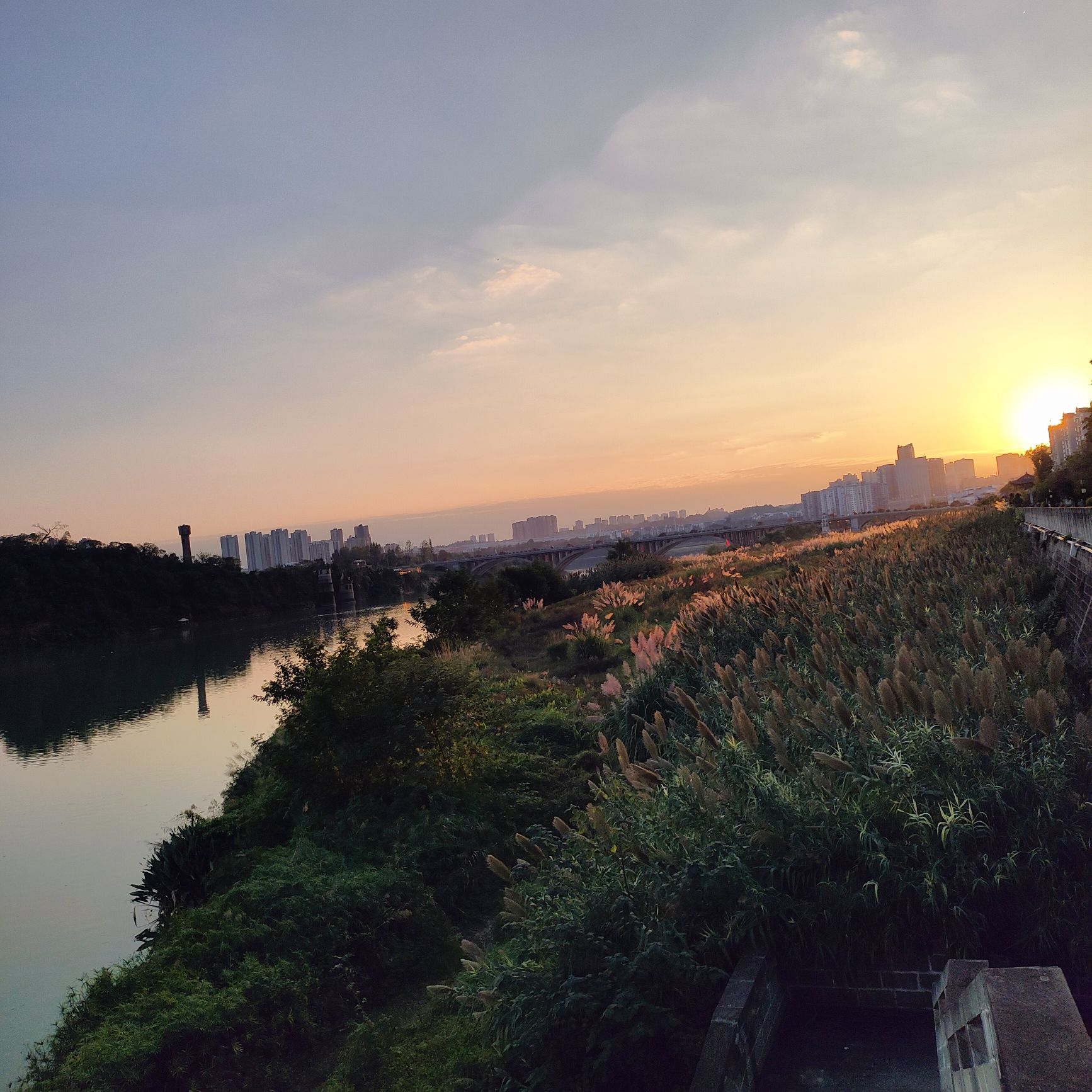 苌弘广场旅行图片 1