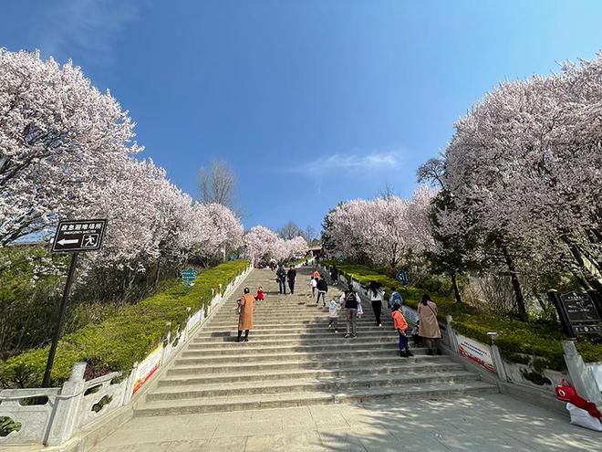 古山森林公园旅行图片 1