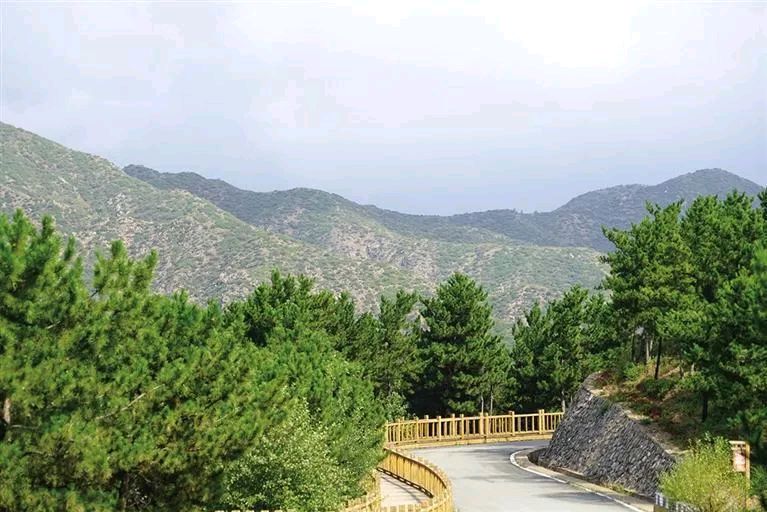 古山森林公园旅行图片 2