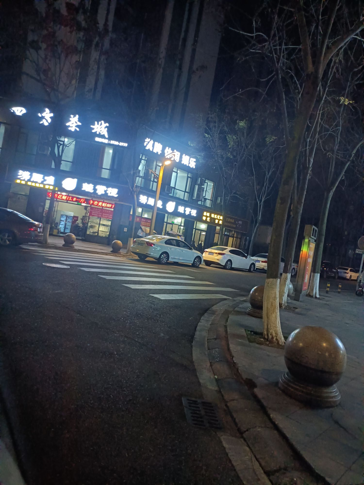齐乐公园旅行图片 3