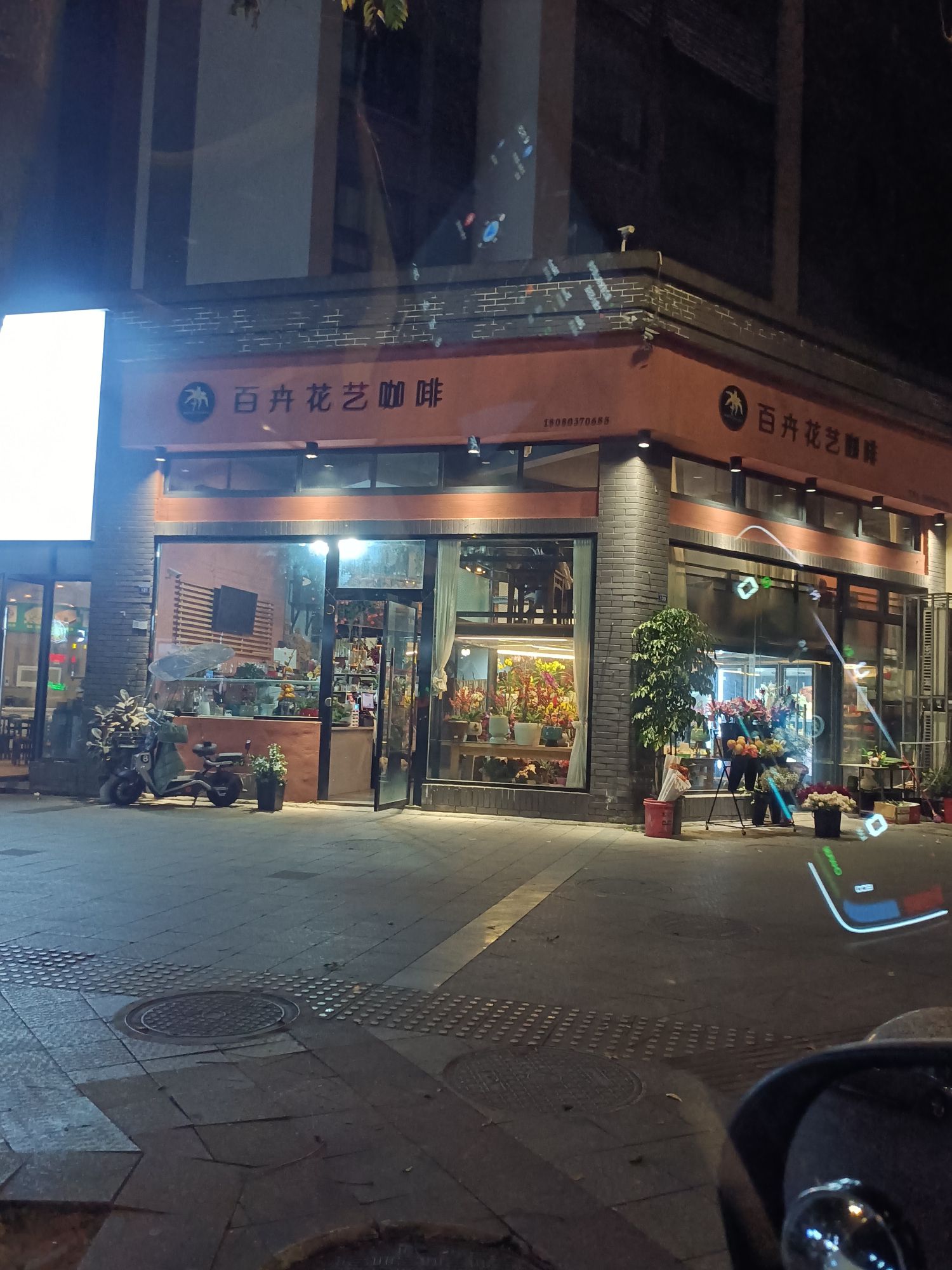 齐乐公园旅行图片 2