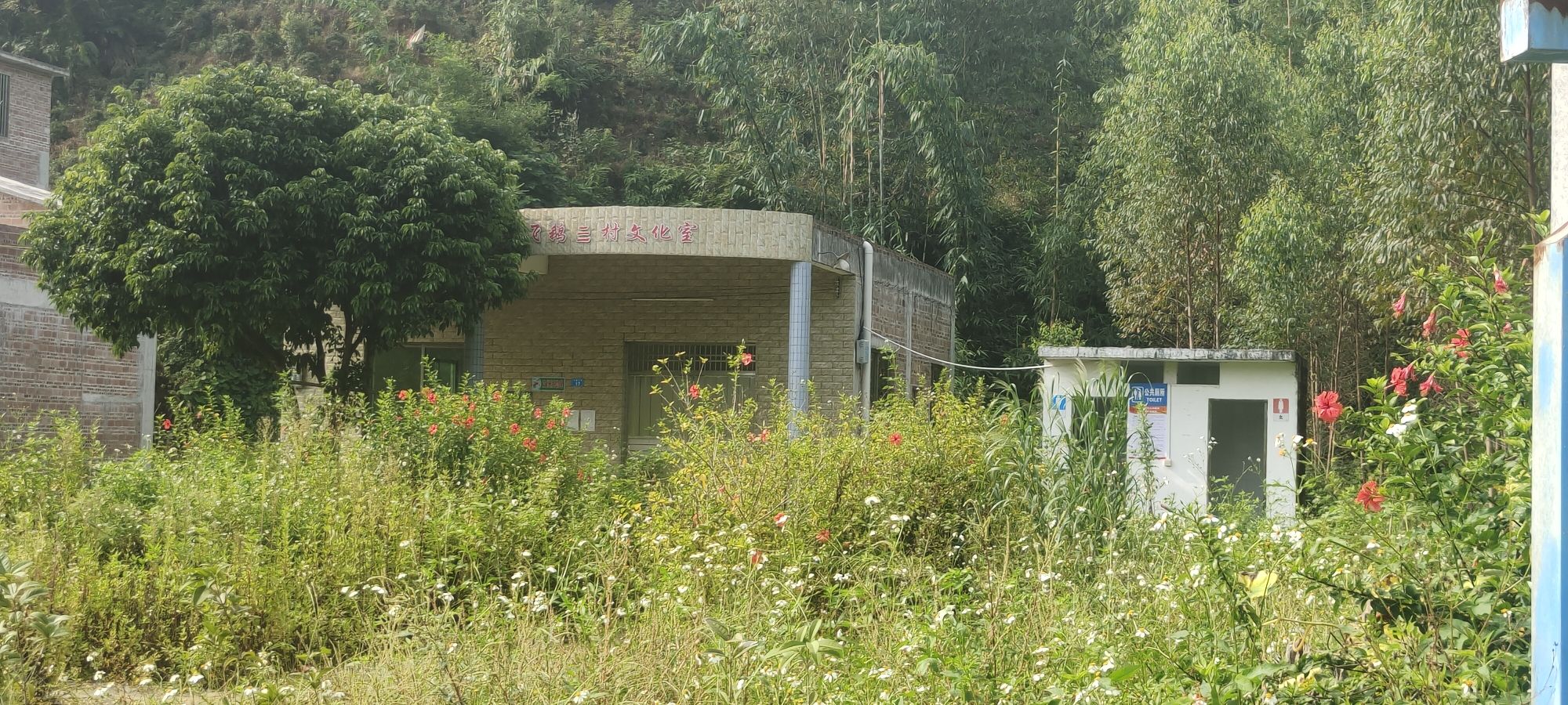 飞鹅界板山旅行图片 2