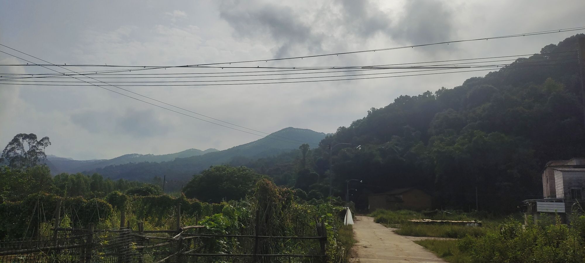 飞鹅界板山旅行图片 3