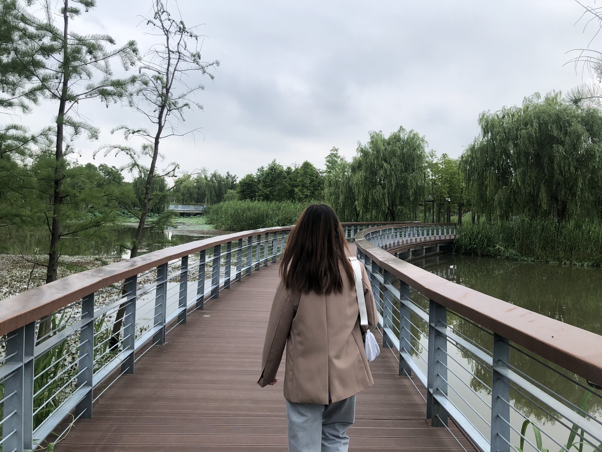 龍河湾公园旅行图片 2