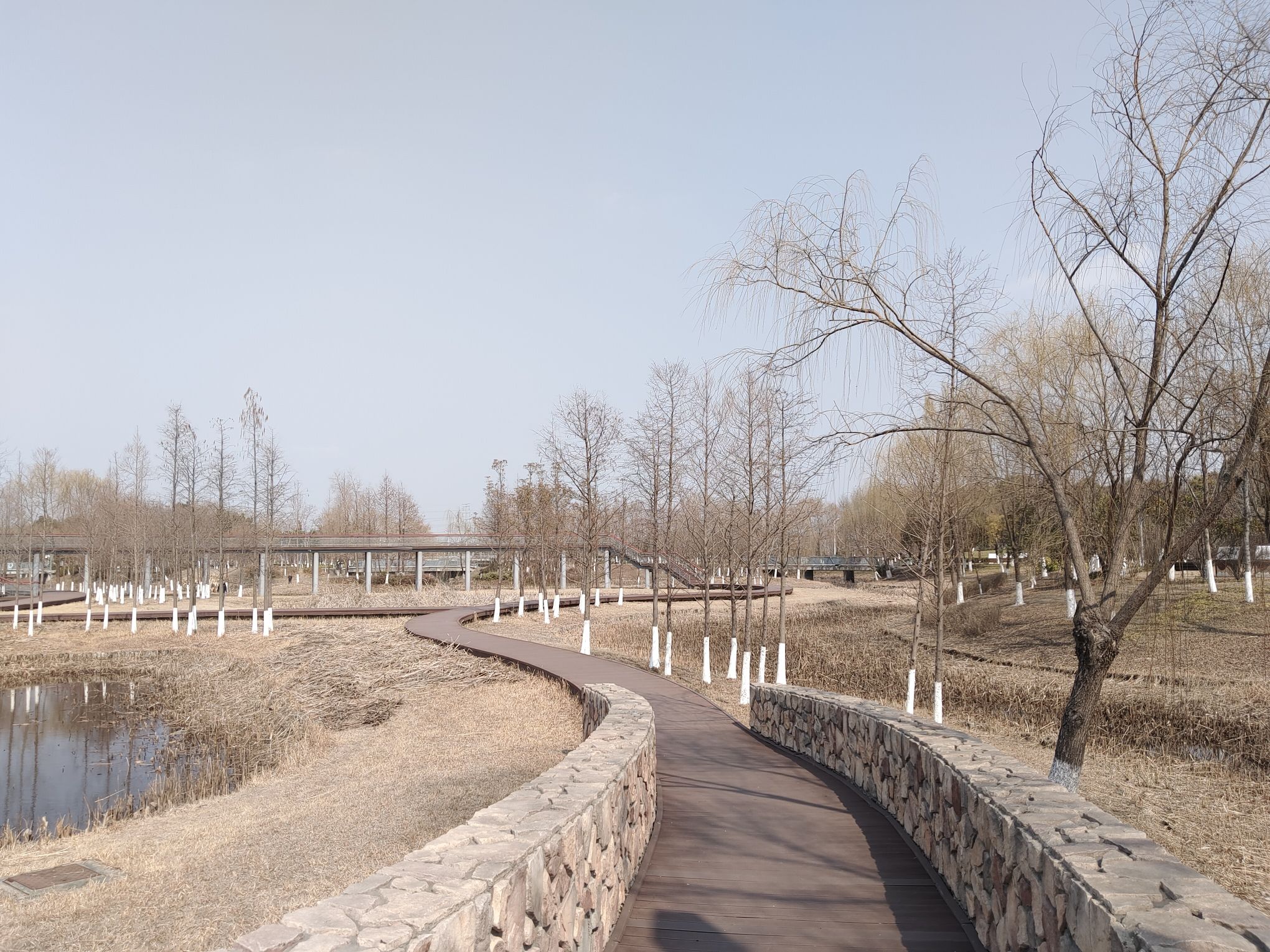 龍河湾公园旅行图片 2