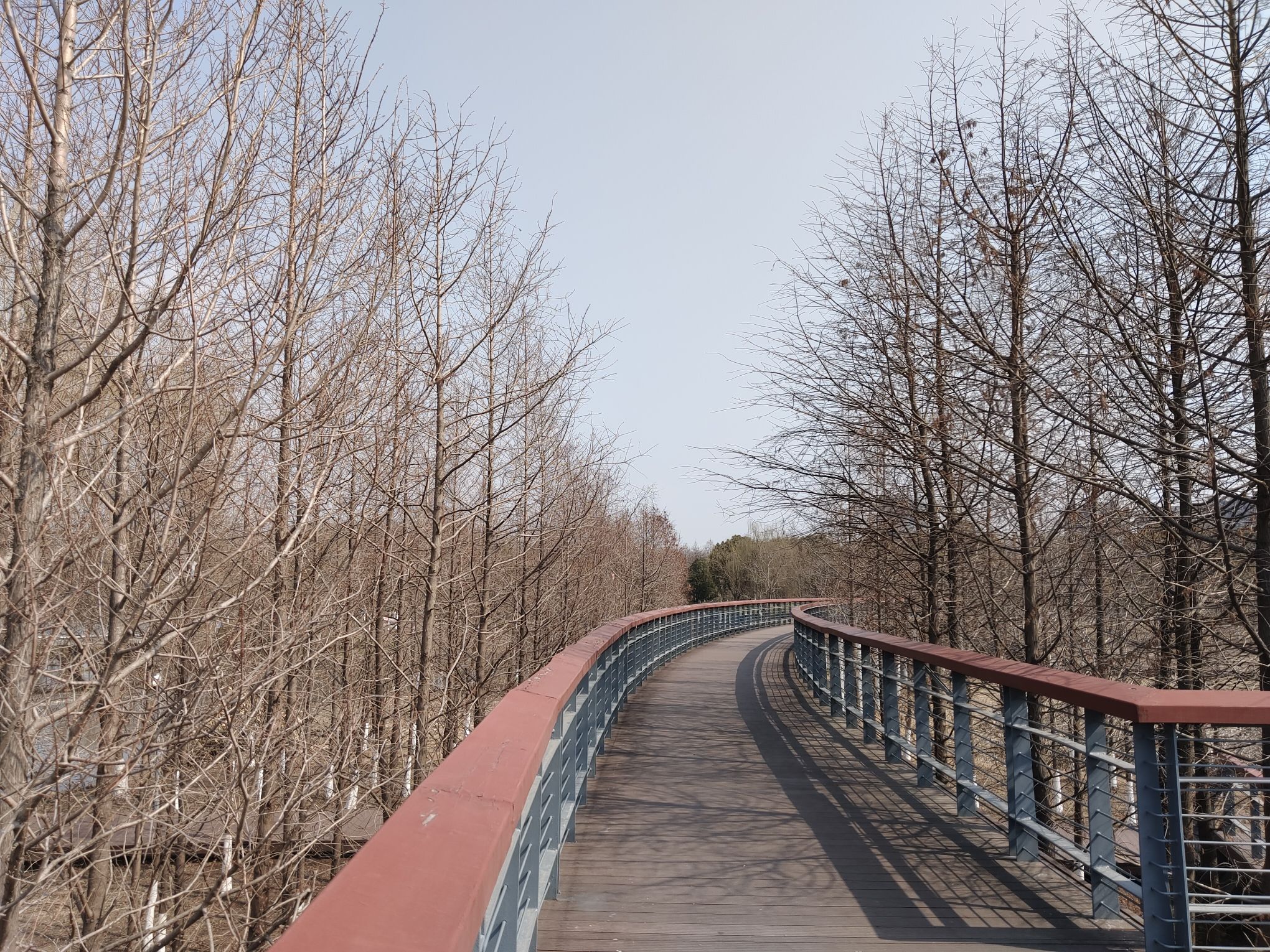 龍河湾公园旅行图片 3