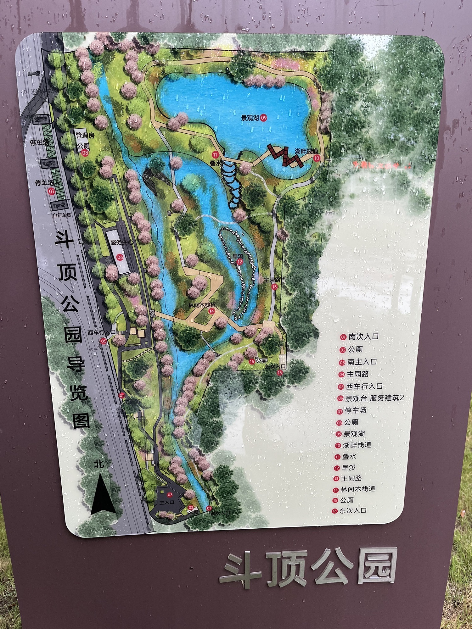 斗顶海绵公园旅行图片 2