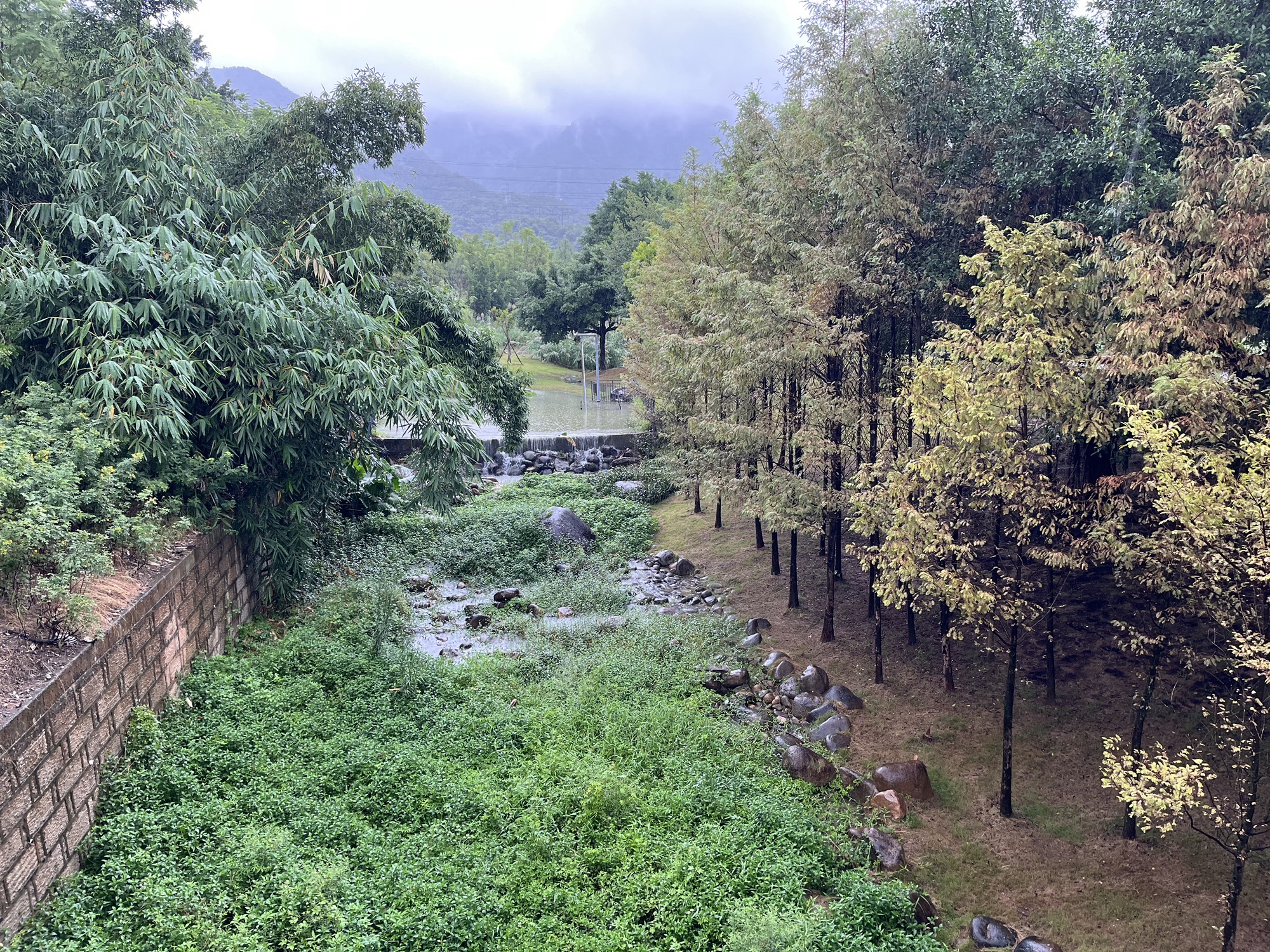 斗顶海绵公园旅行图片 3
