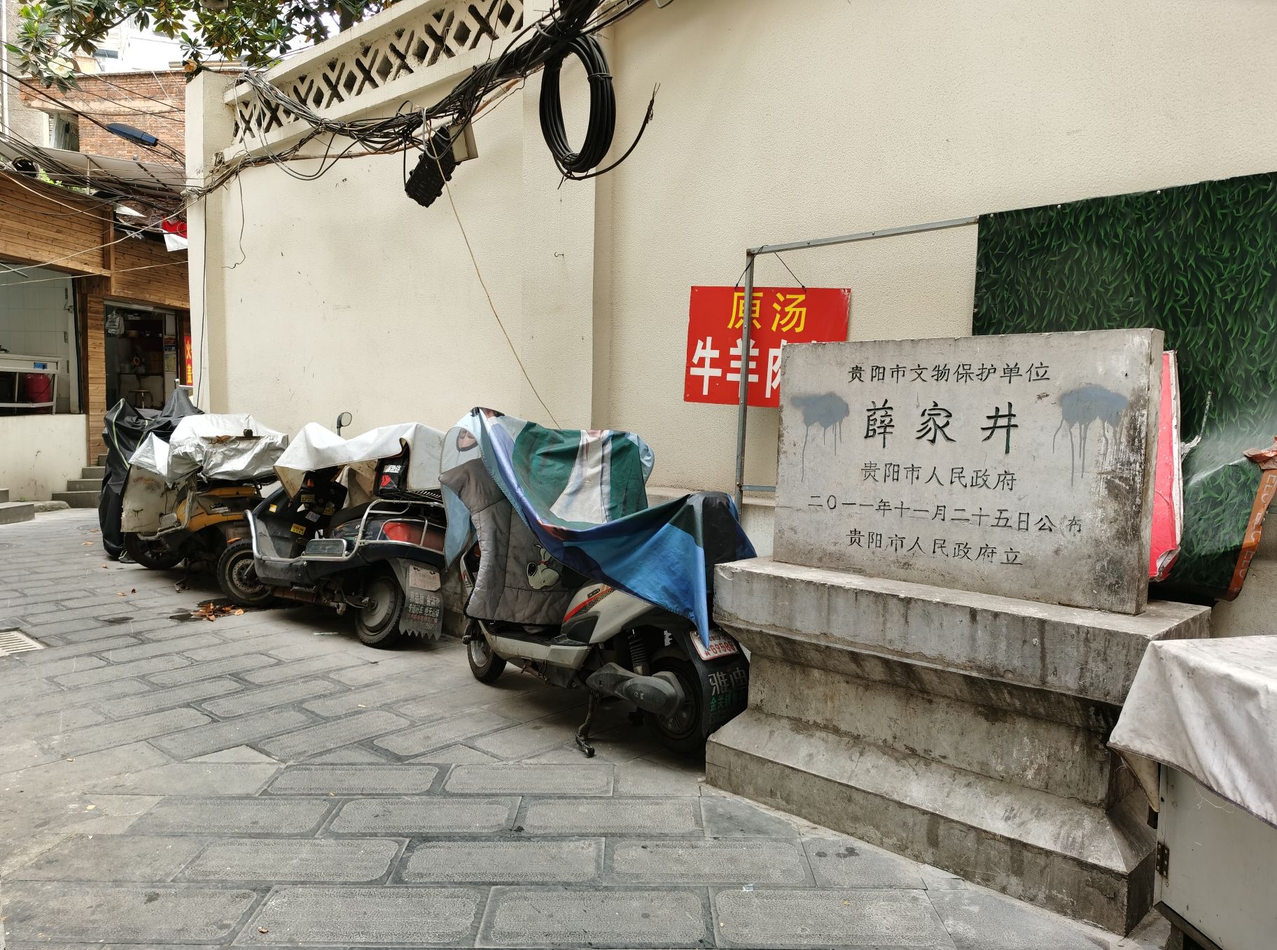 薛家井旅行图片 3