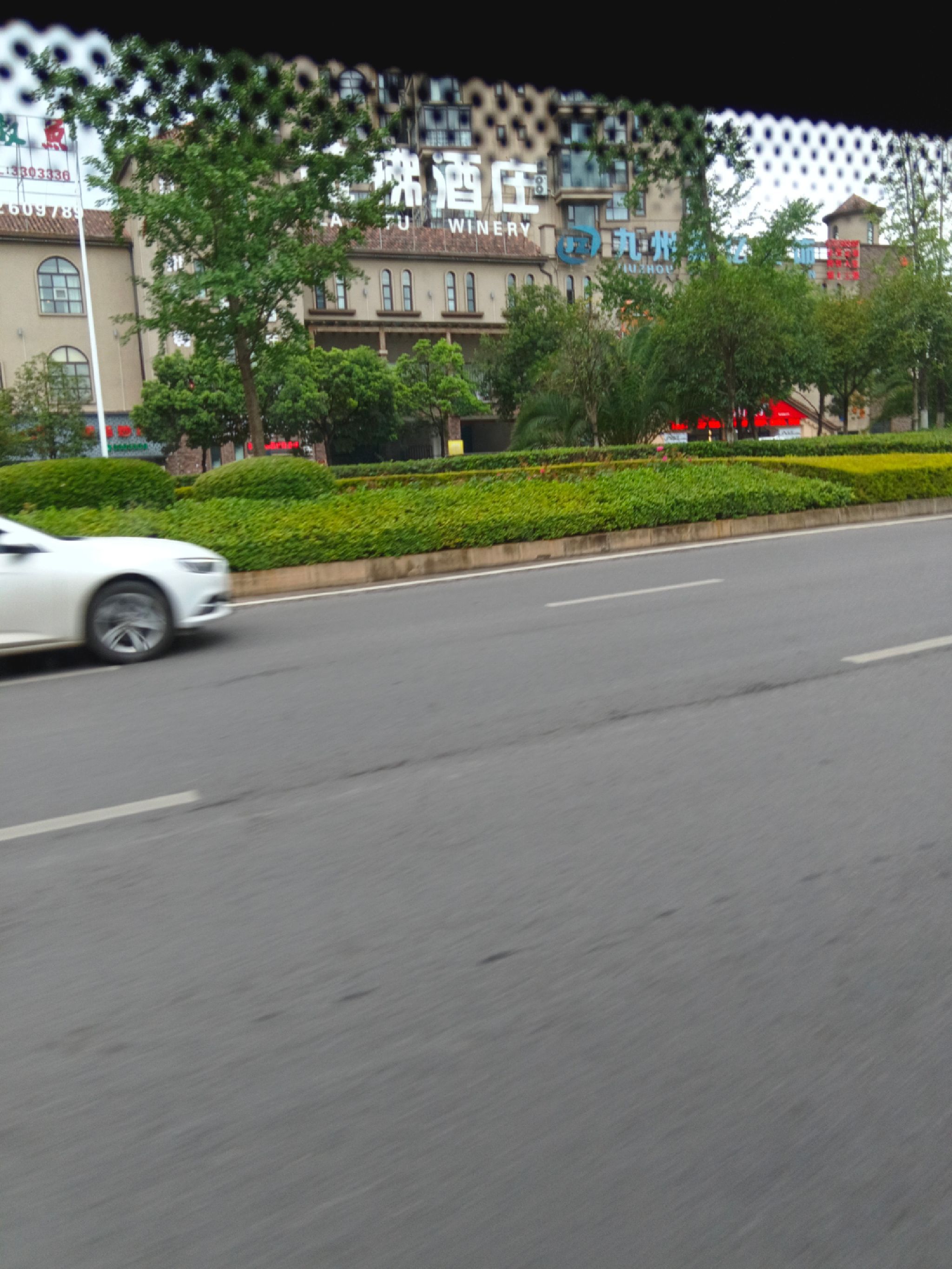 利州区法治广场旅行图片 1