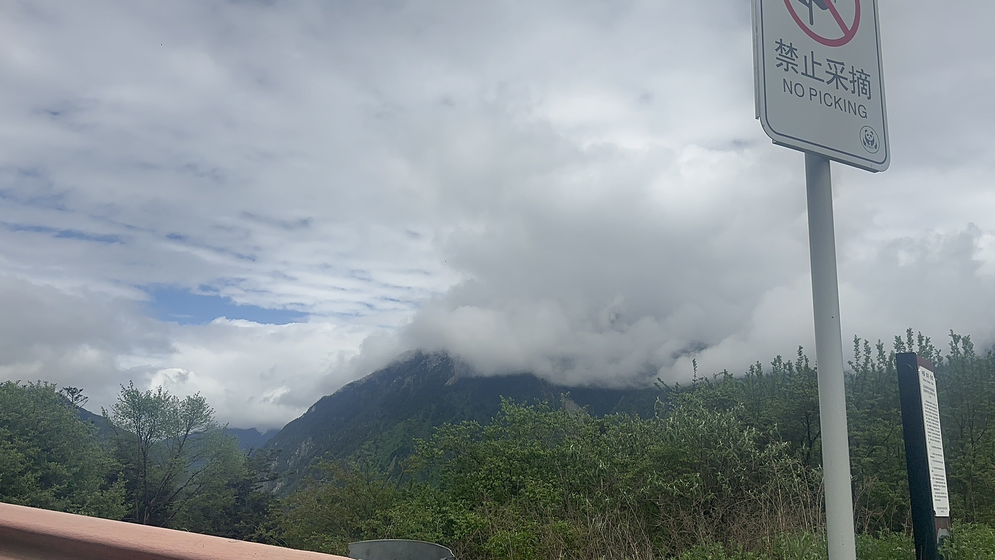 云端观景台旅行图片 3